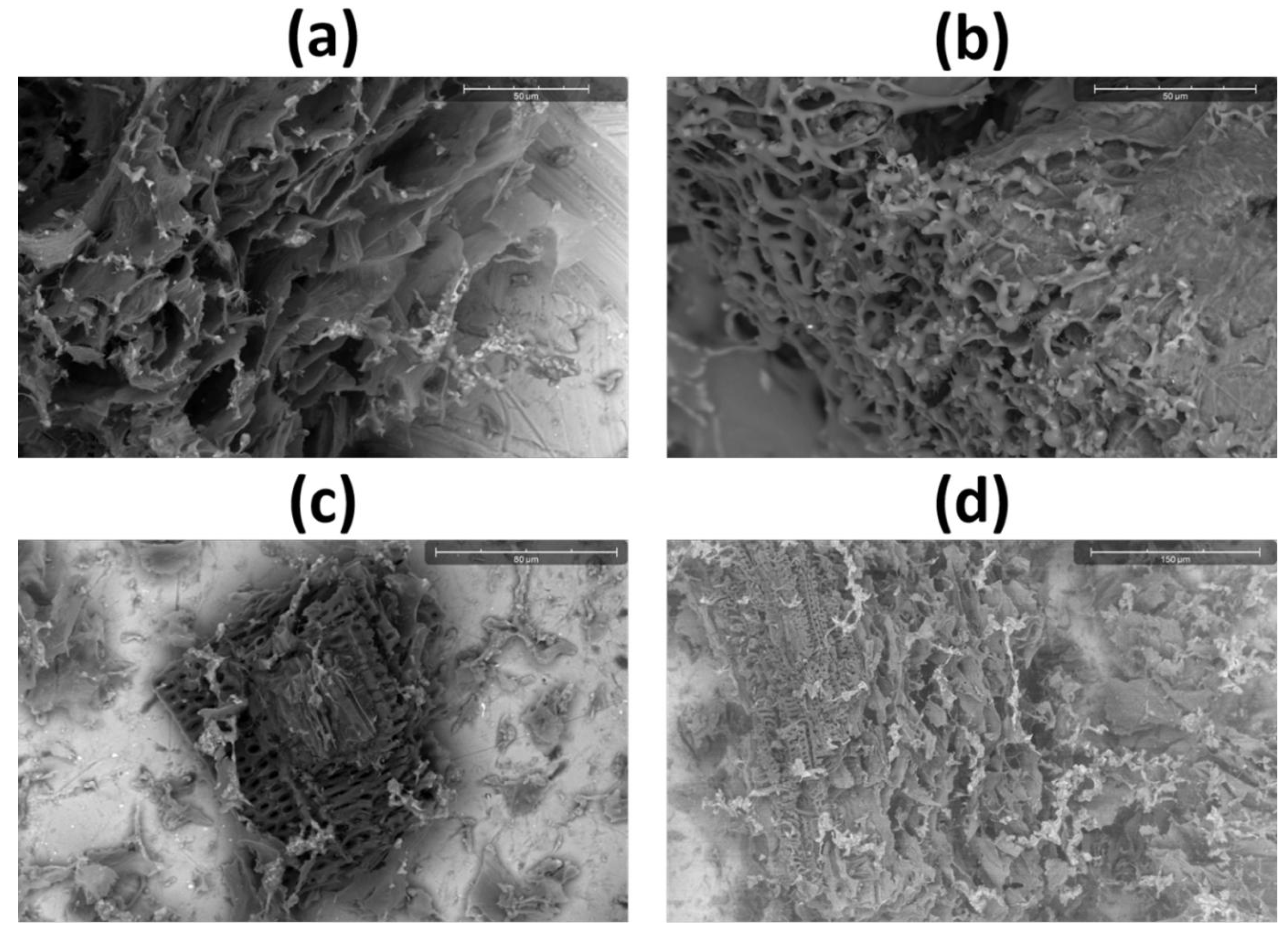 Polymers 17 03130 g003