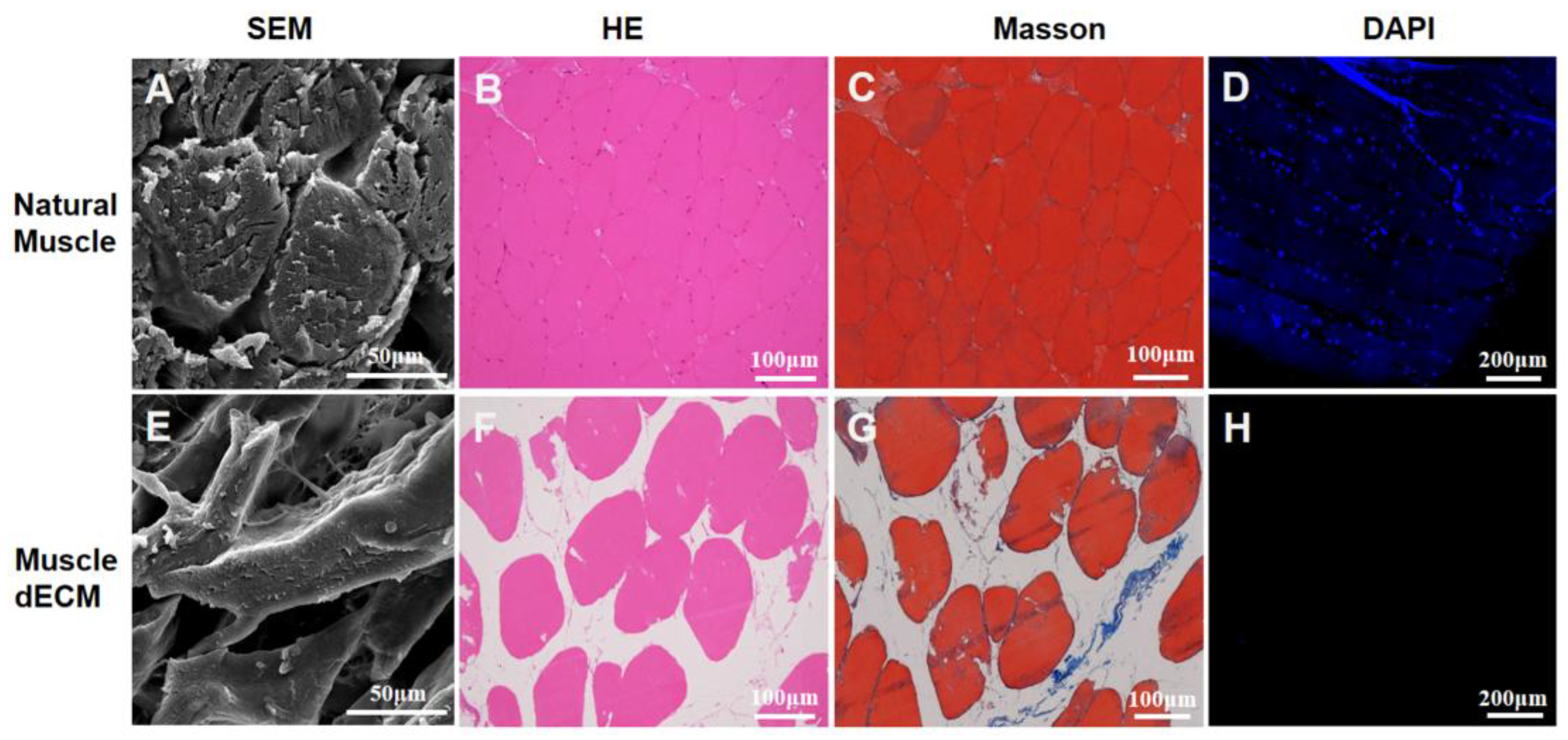 Polymers 17 03133 g002