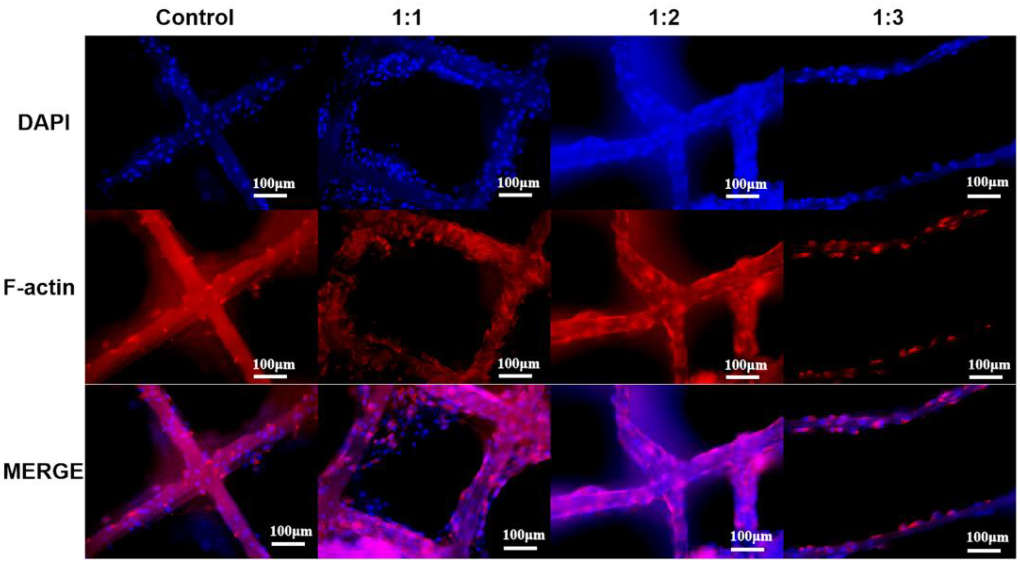 Polymers 17 03133 g007