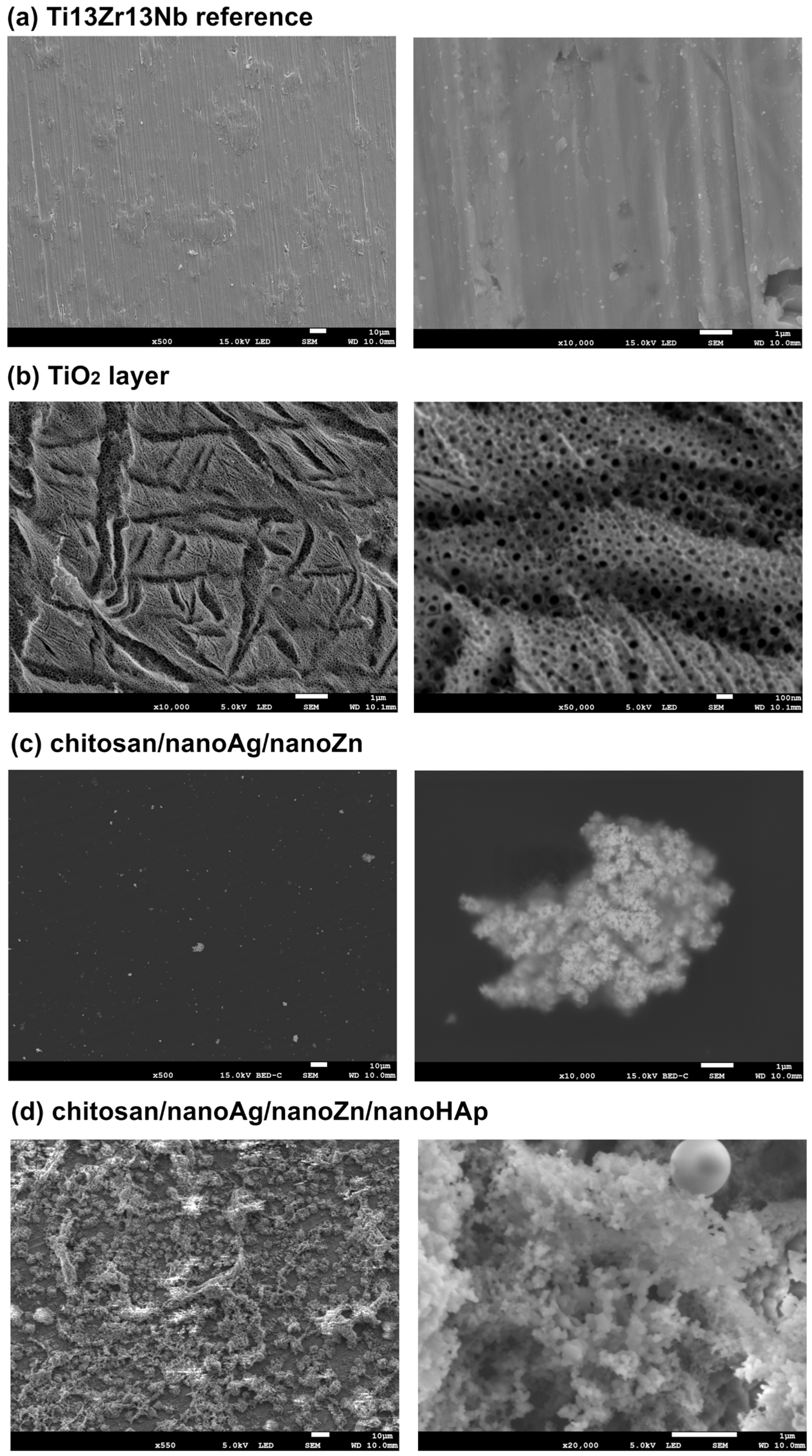 Polymers 17 03136 g001
