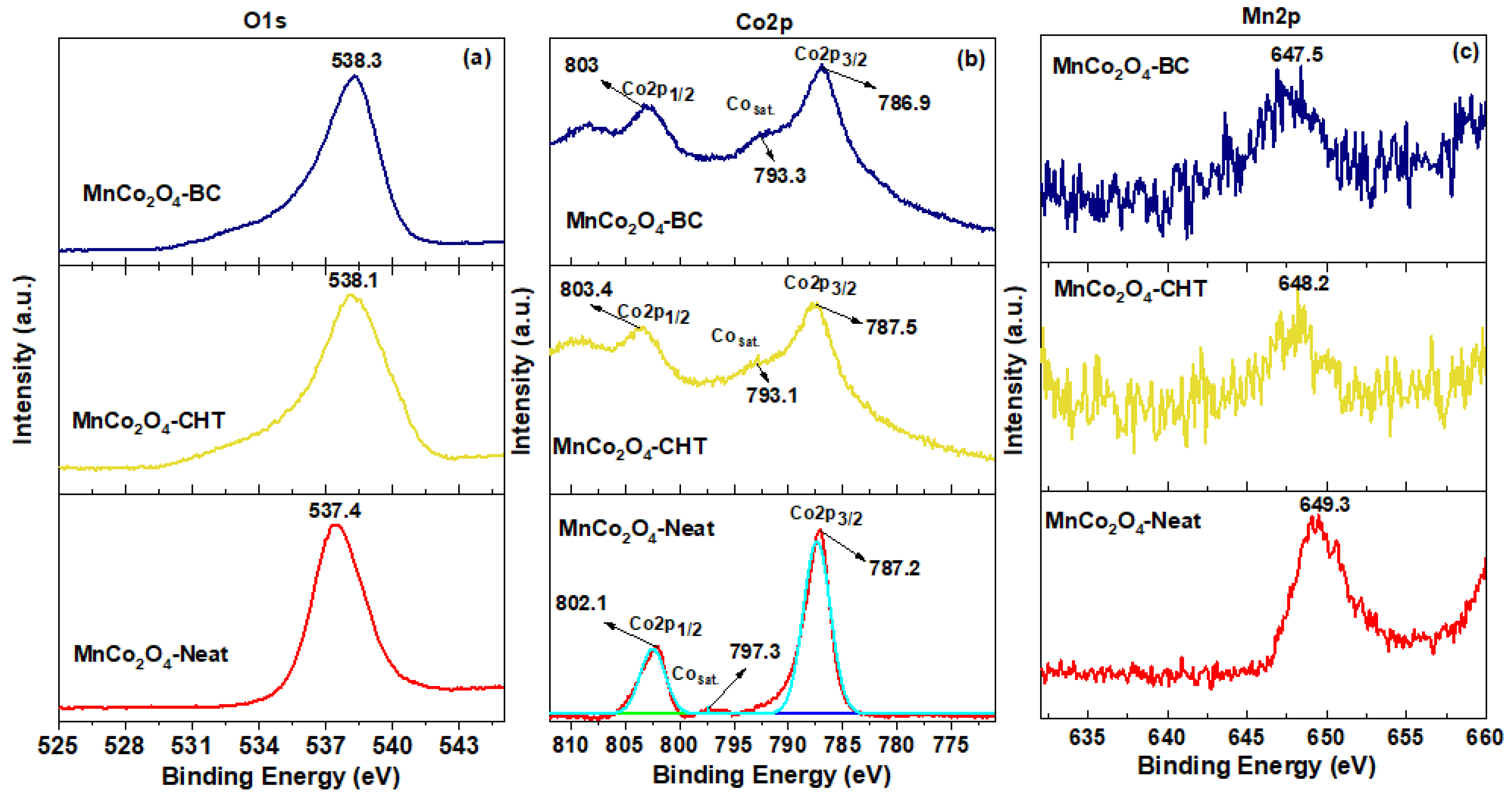 Polymers 17 03138 g005