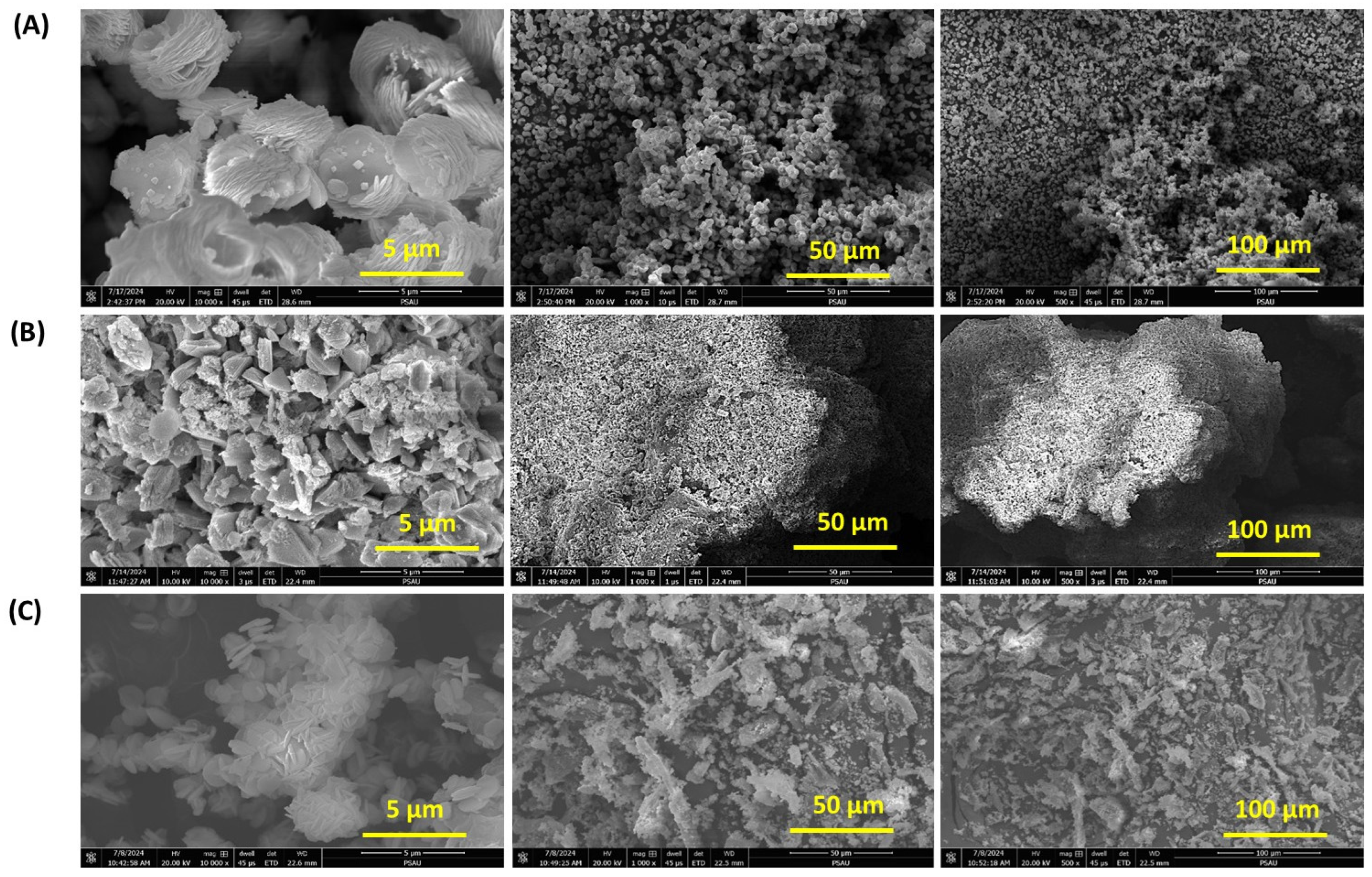 Polymers 17 03138 g008