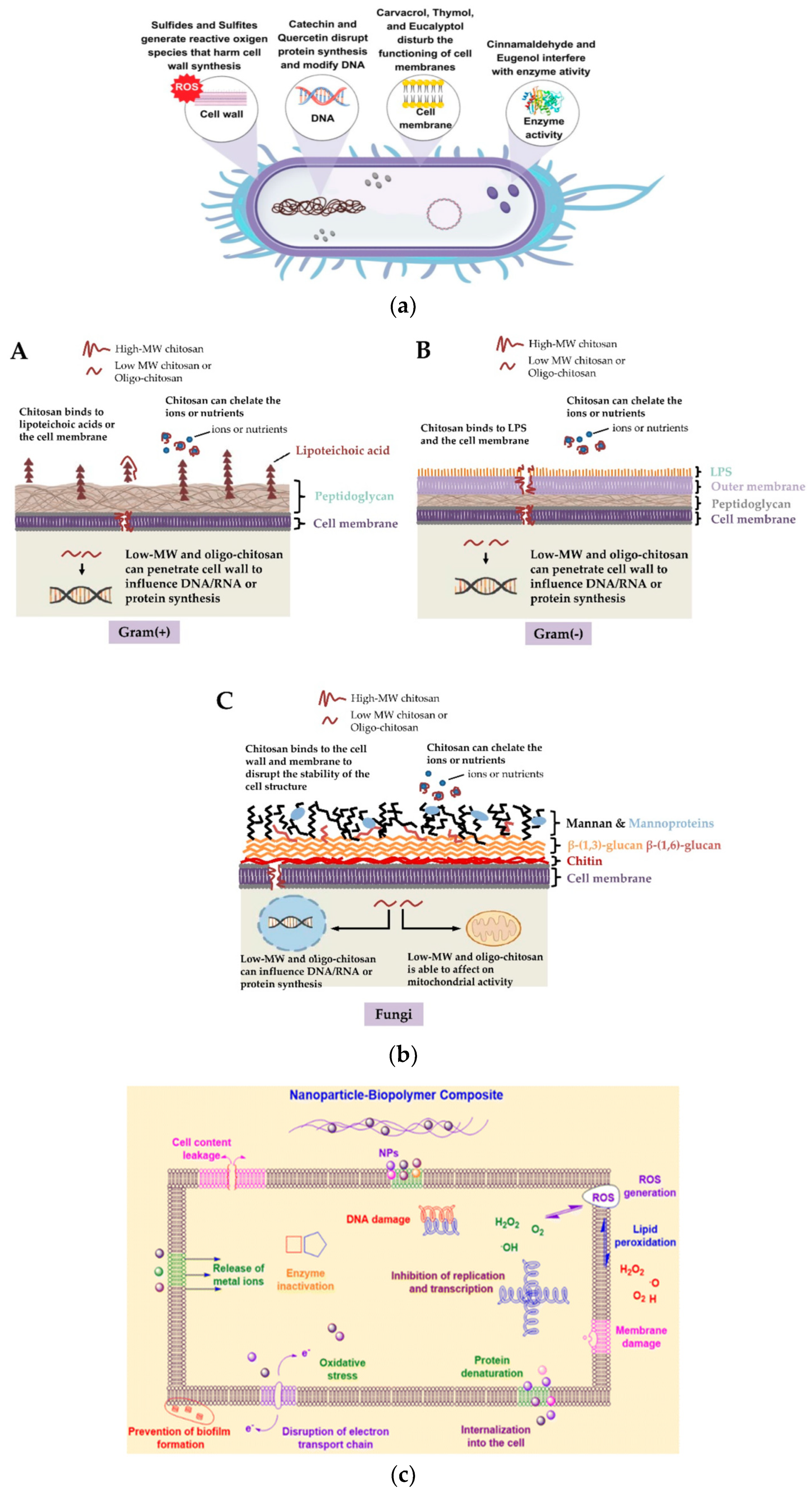 Polymers 17 03139 g004 Polymers 17 03139 g004