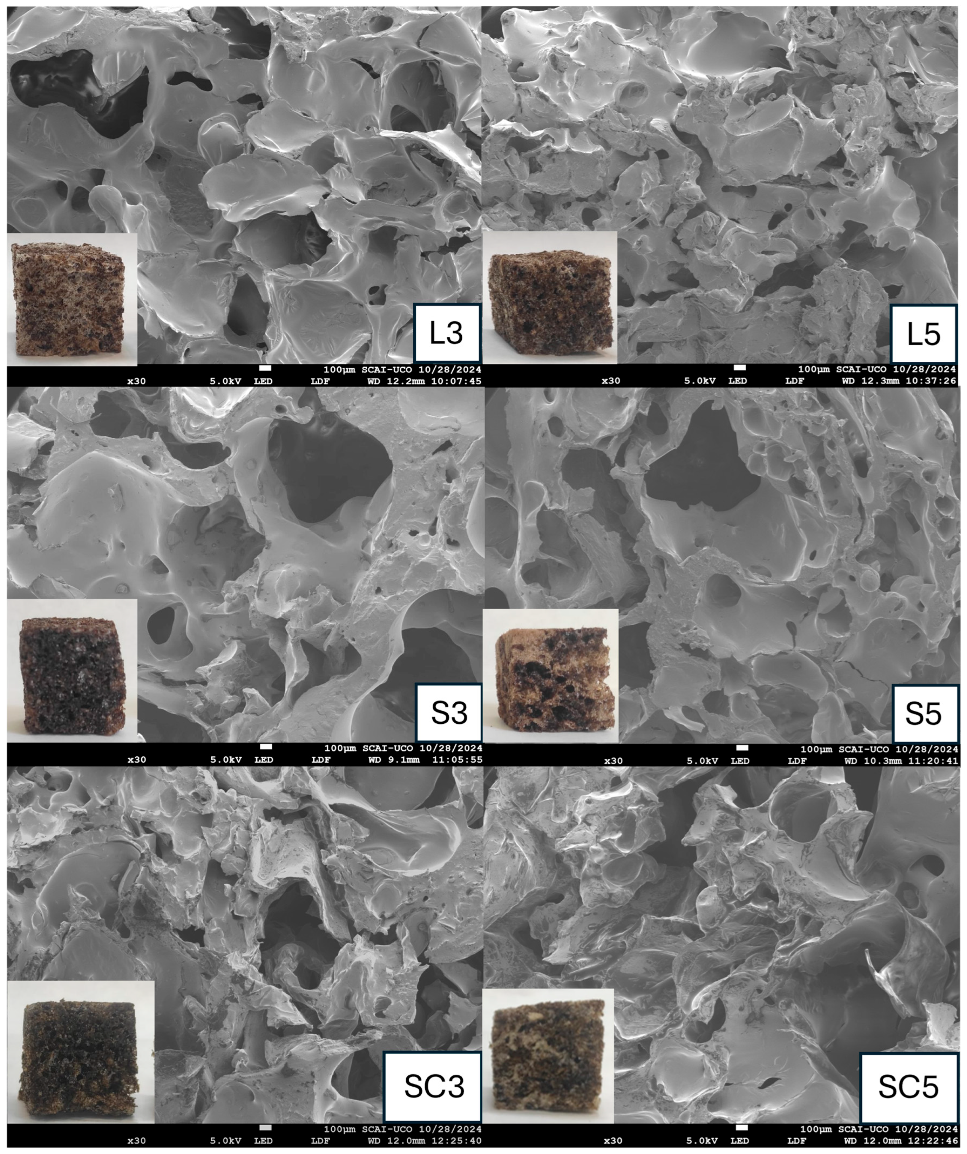 Polymers 17 03142 g002