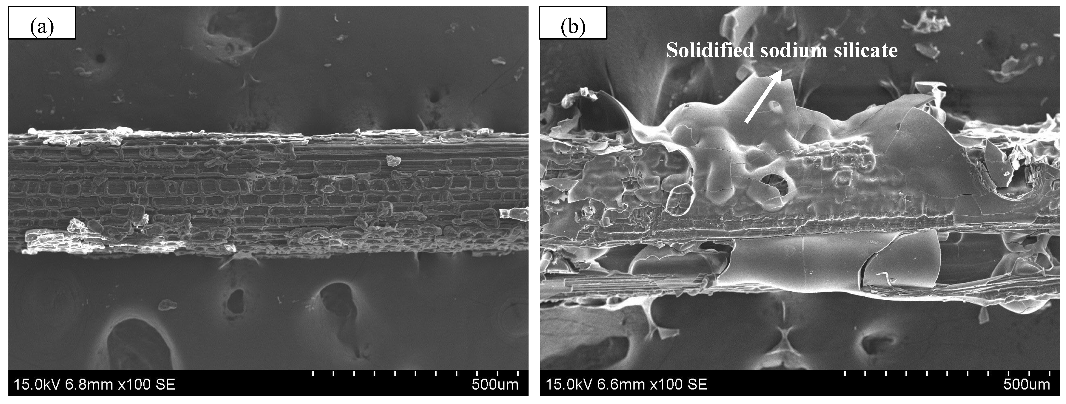 Polymers 17 03146 g004a