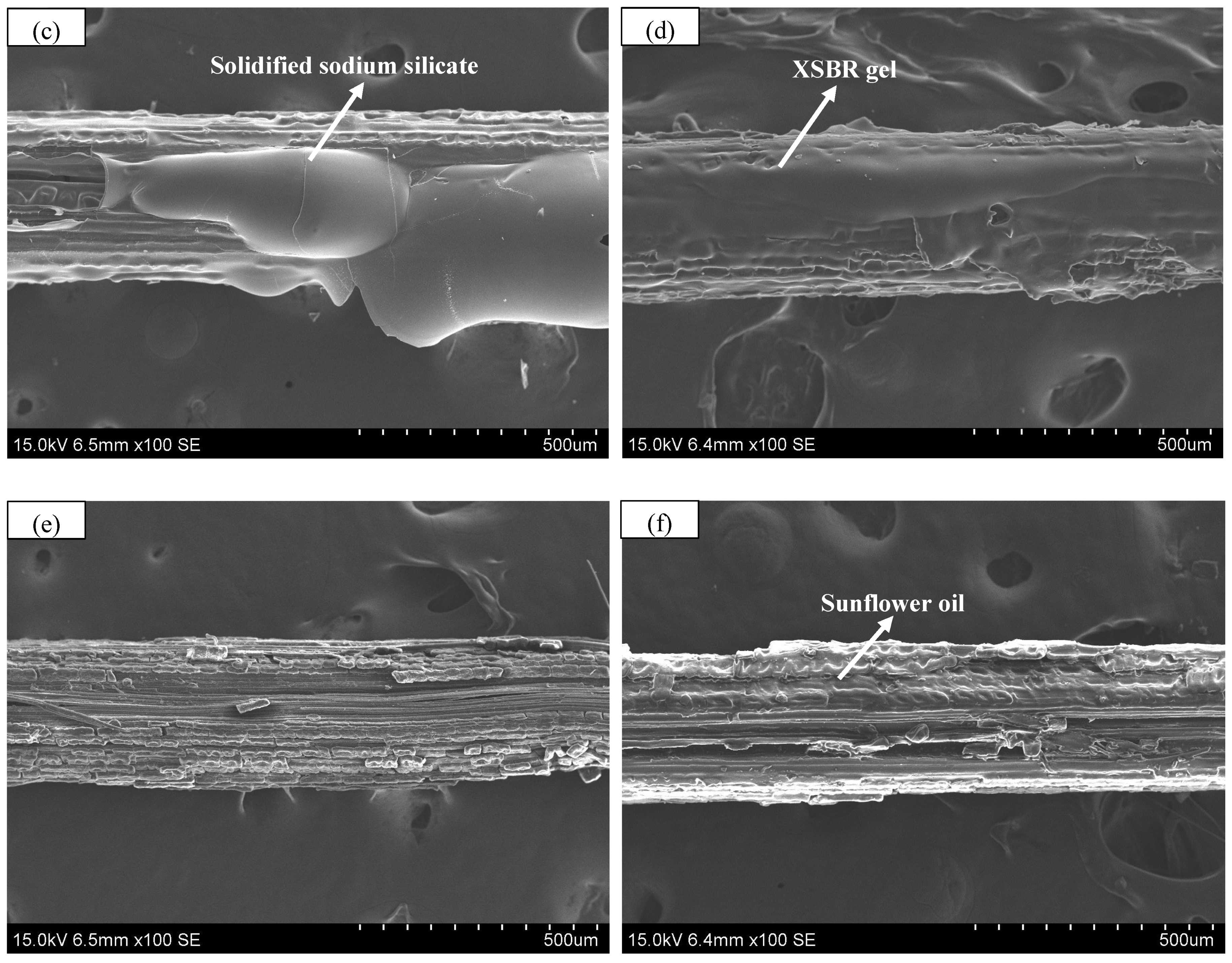Polymers 17 03146 g004b