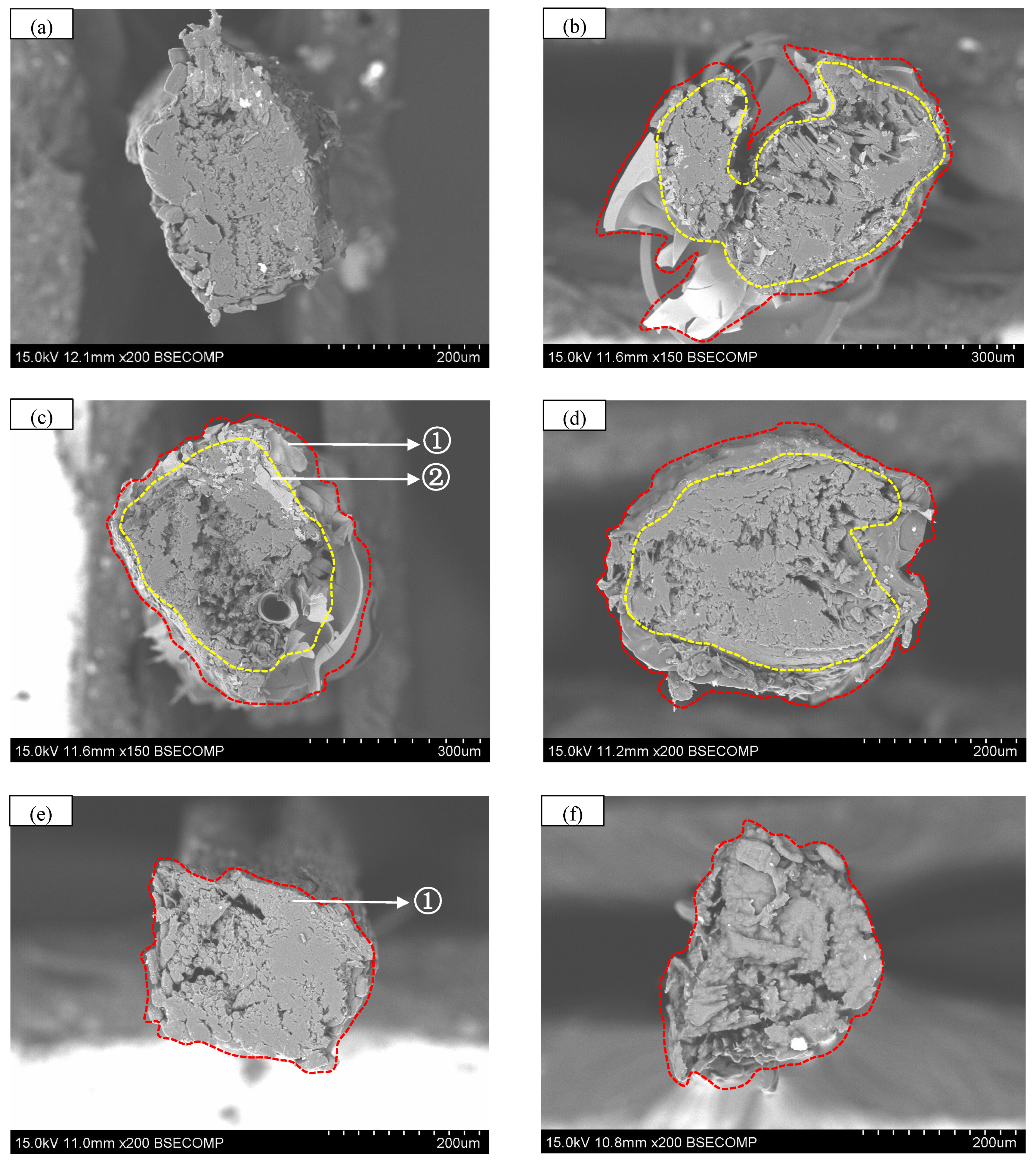 Polymers 17 03146 g005