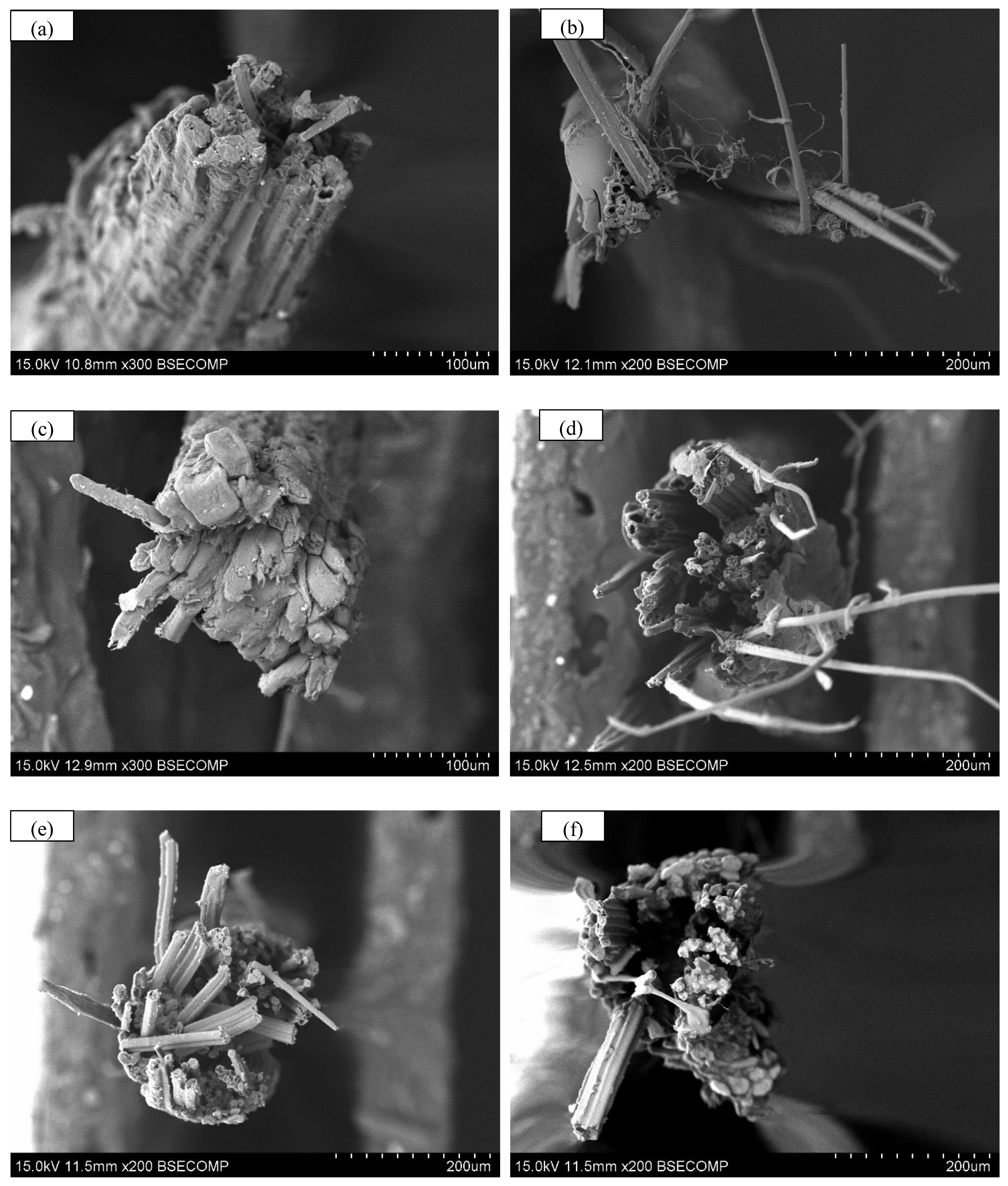 Polymers 17 03146 g006