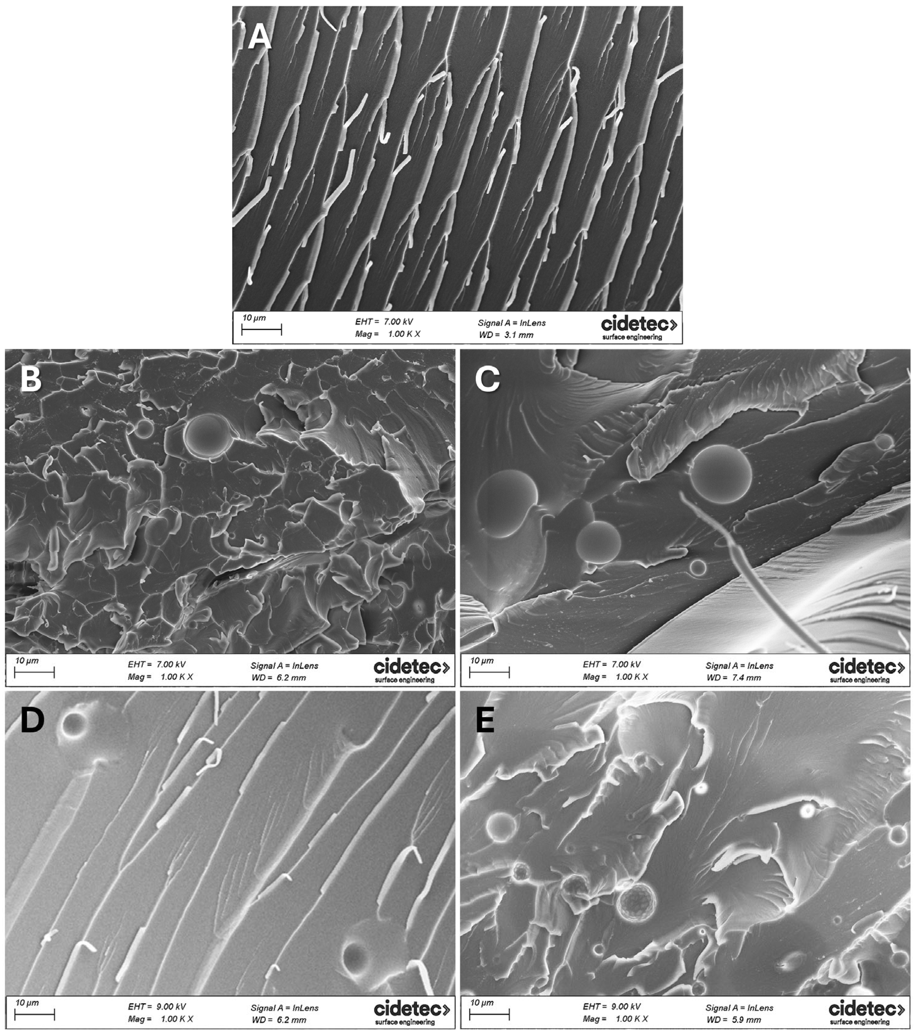 Polymers 17 03147 g004