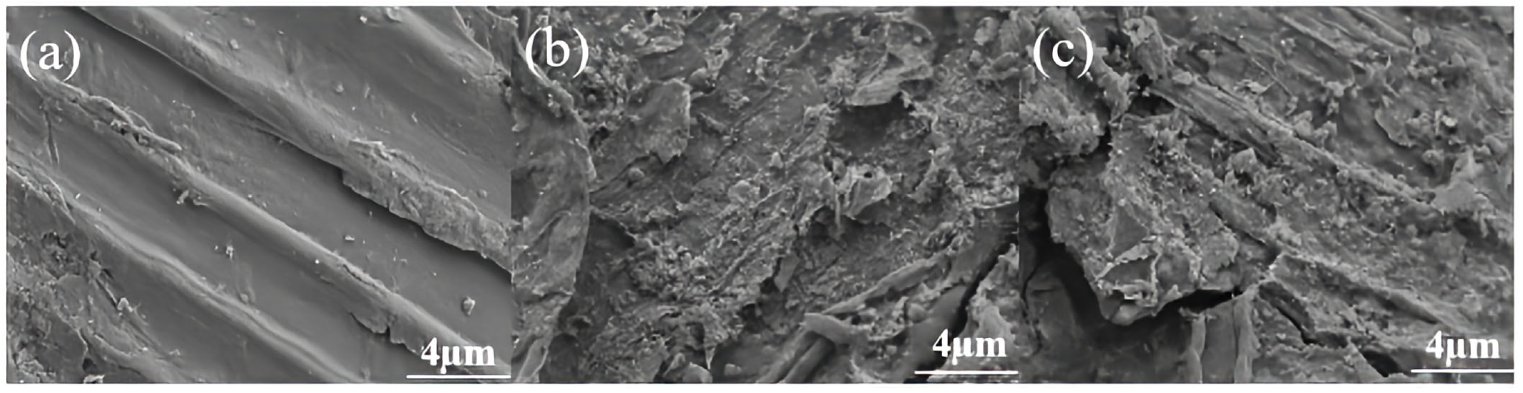 Polymers 17 03148 g004