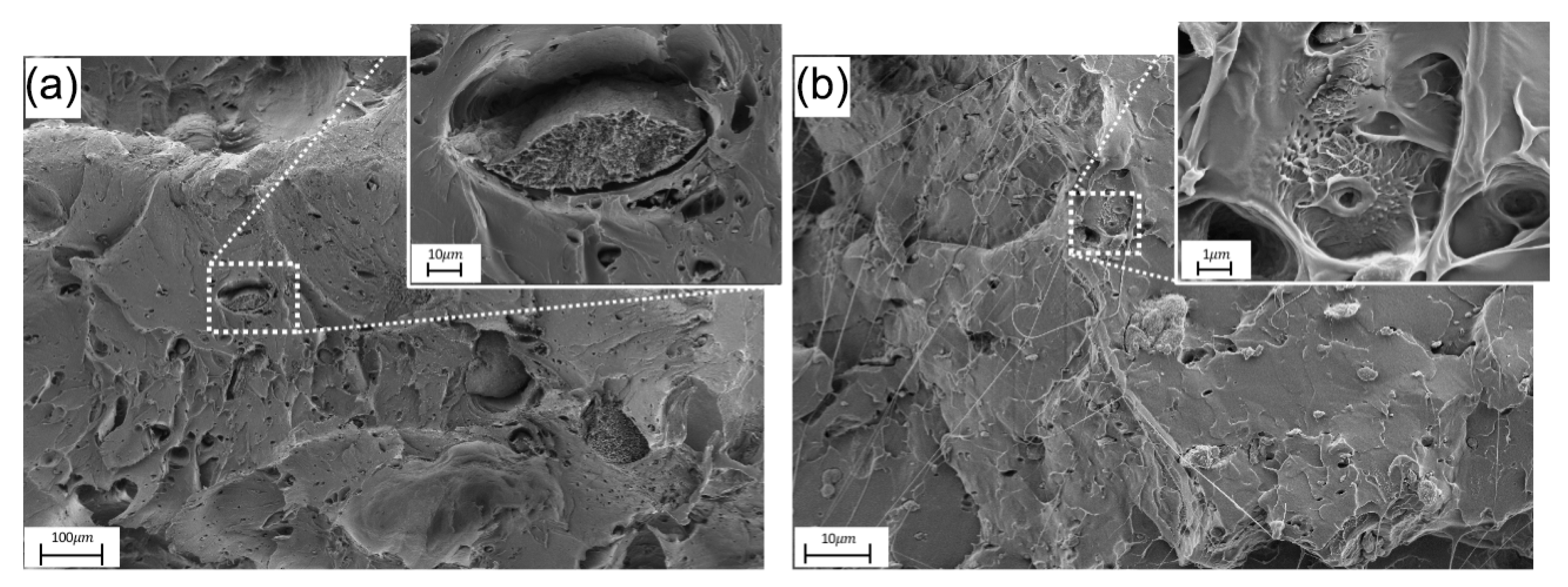 Polymers 17 03149 g002