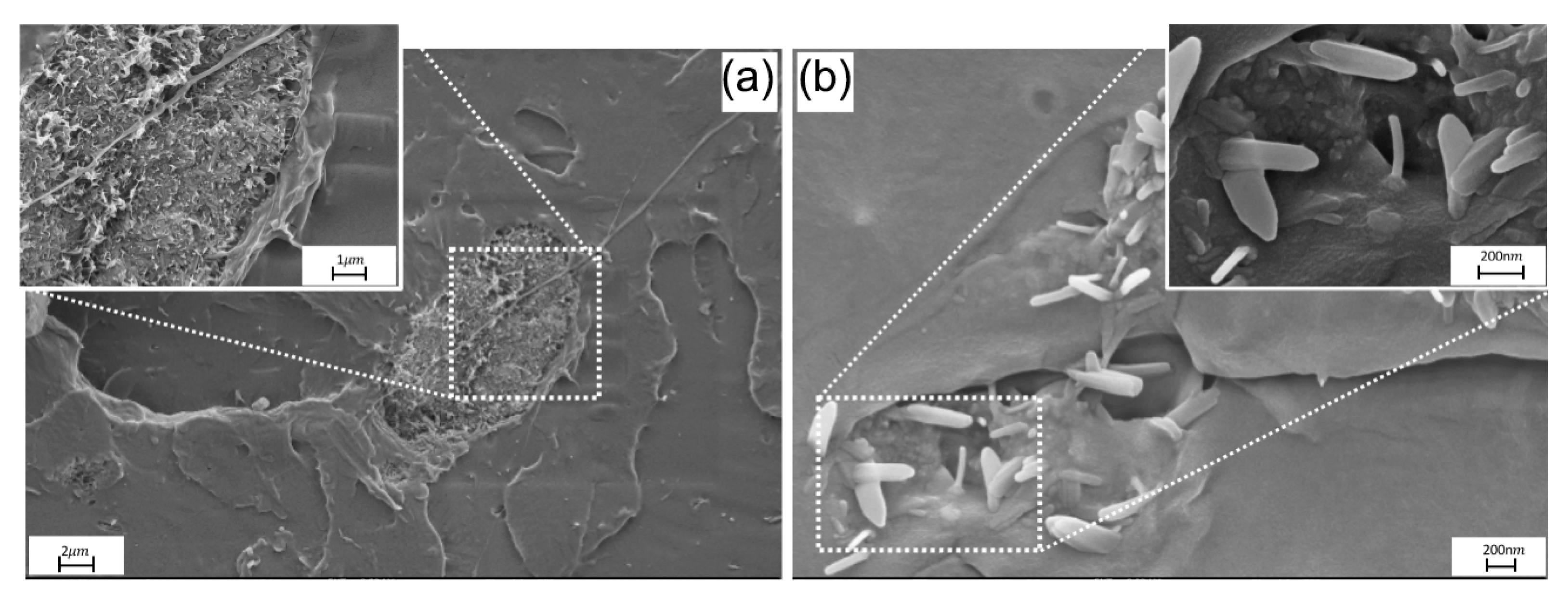 Polymers 17 03149 g003
