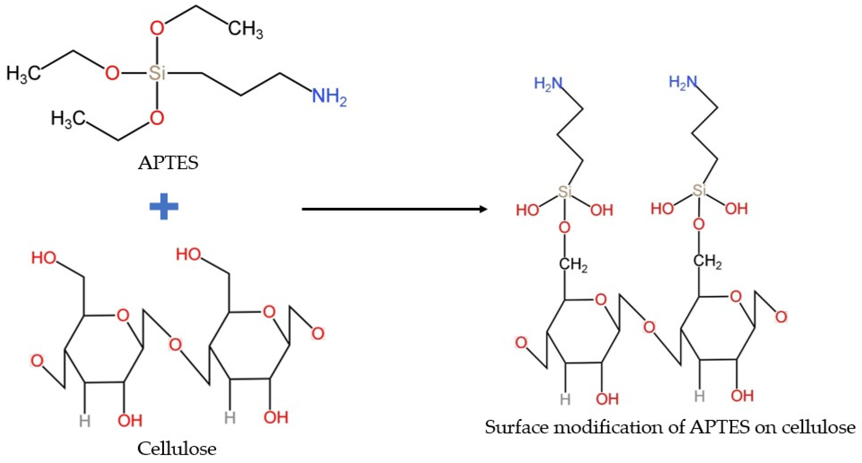 Polymers 17 03152 g001