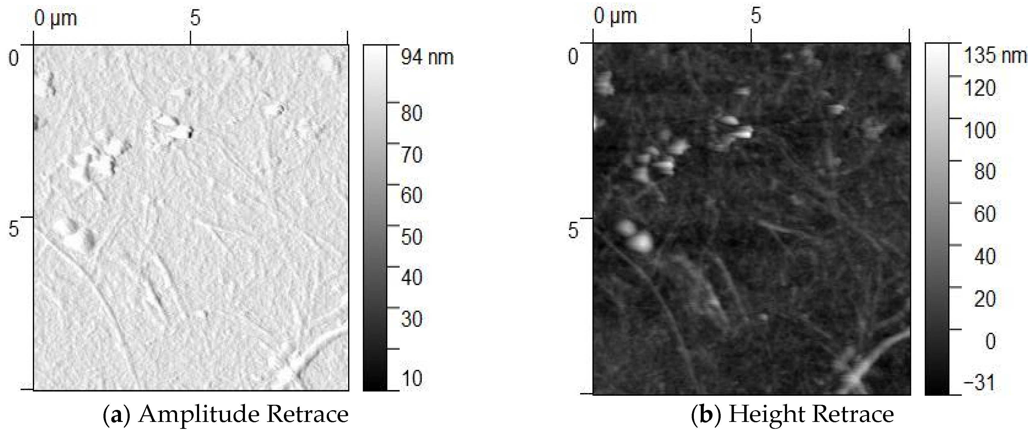 Polymers 17 03152 g006