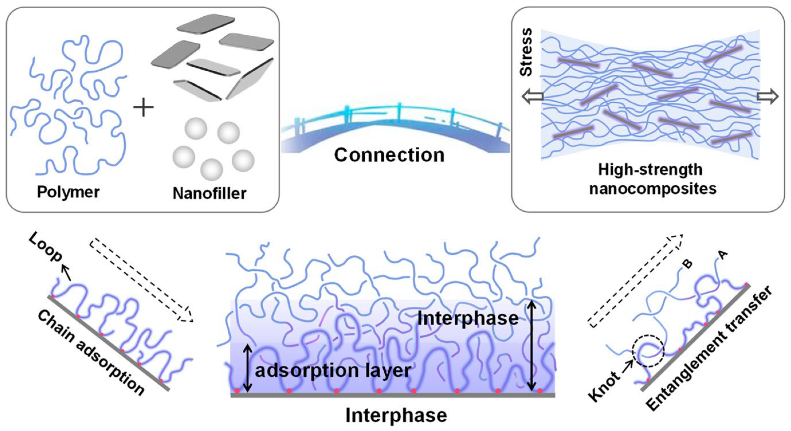 Polymers 17 03161 g006