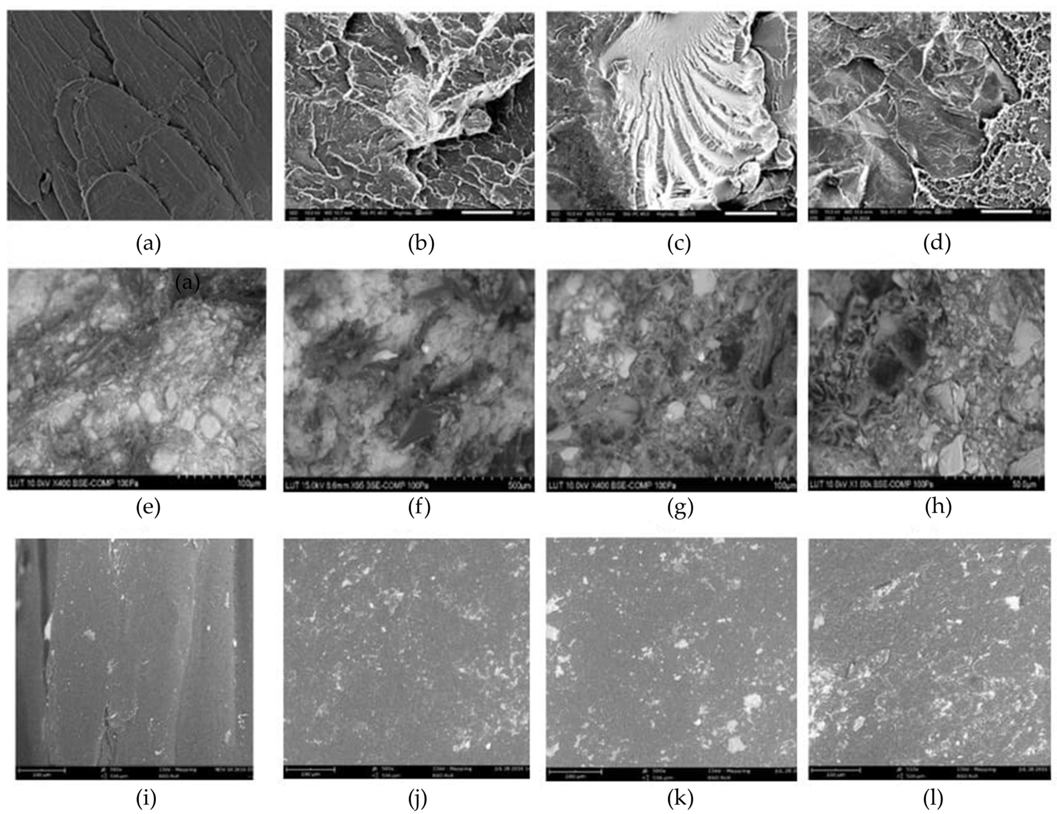 Polymers 17 03161 g007