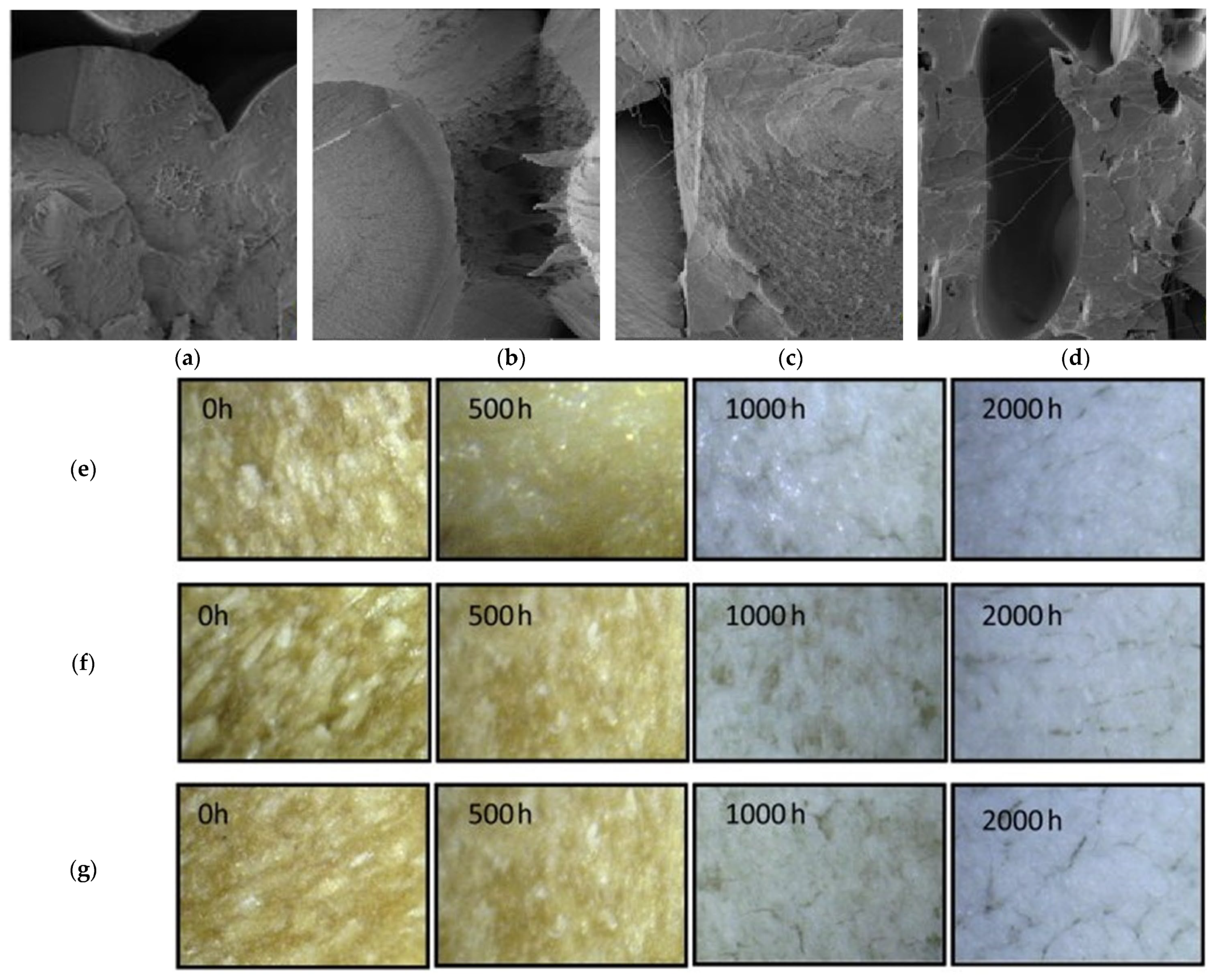 Polymers 17 03161 g015