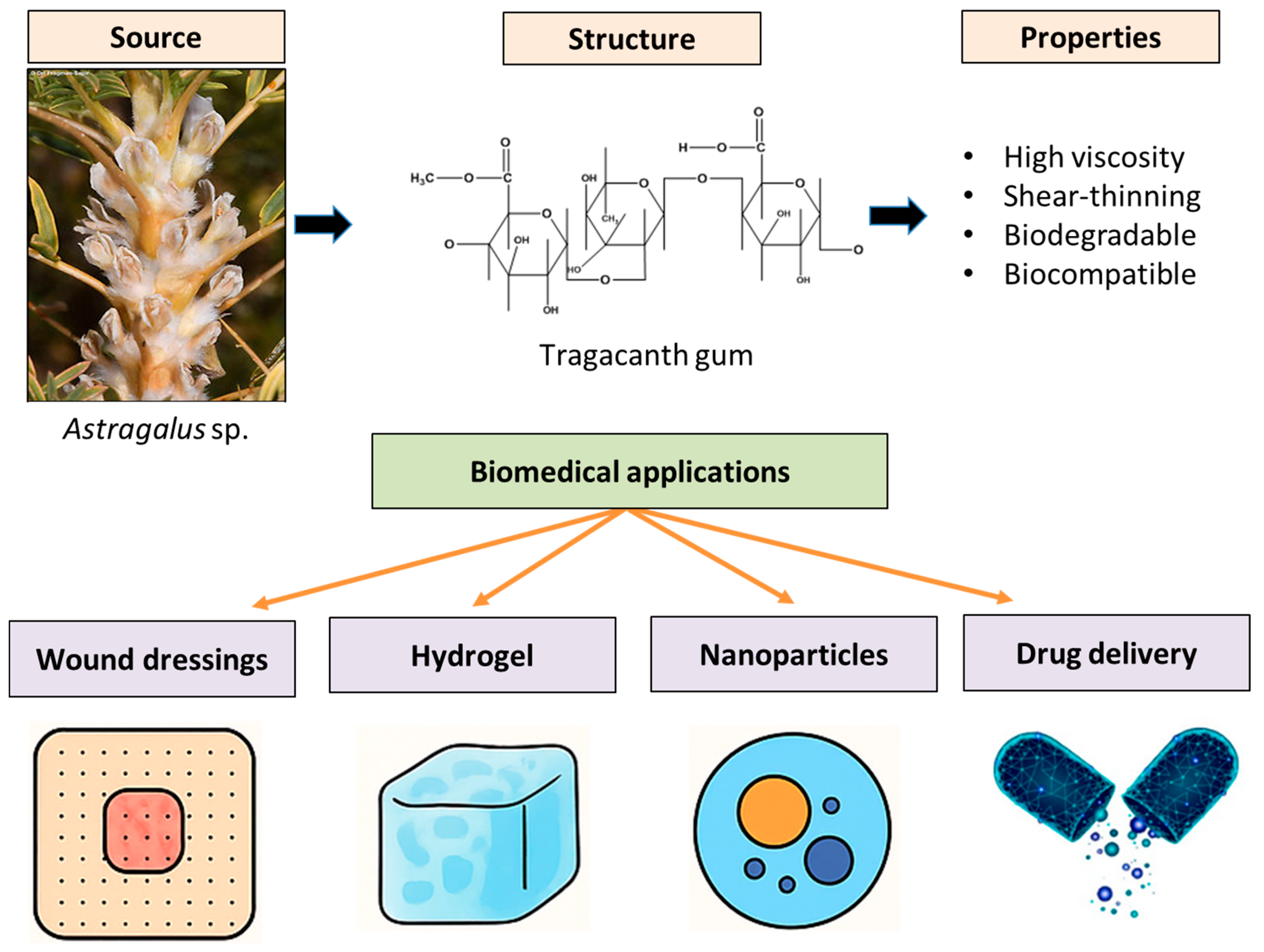 Polymers 17 03163 g004