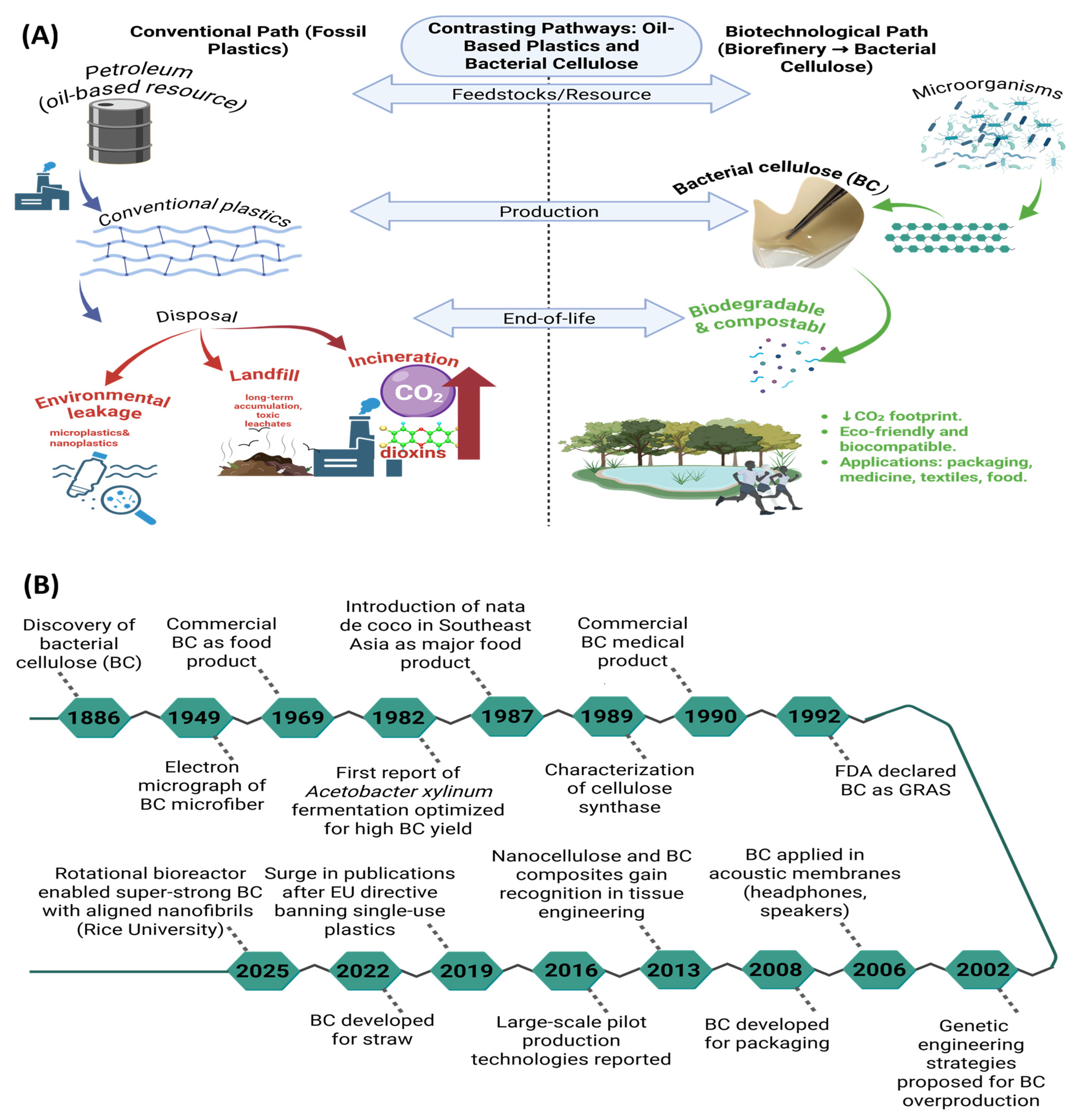 Polymers 17 03165 g001
