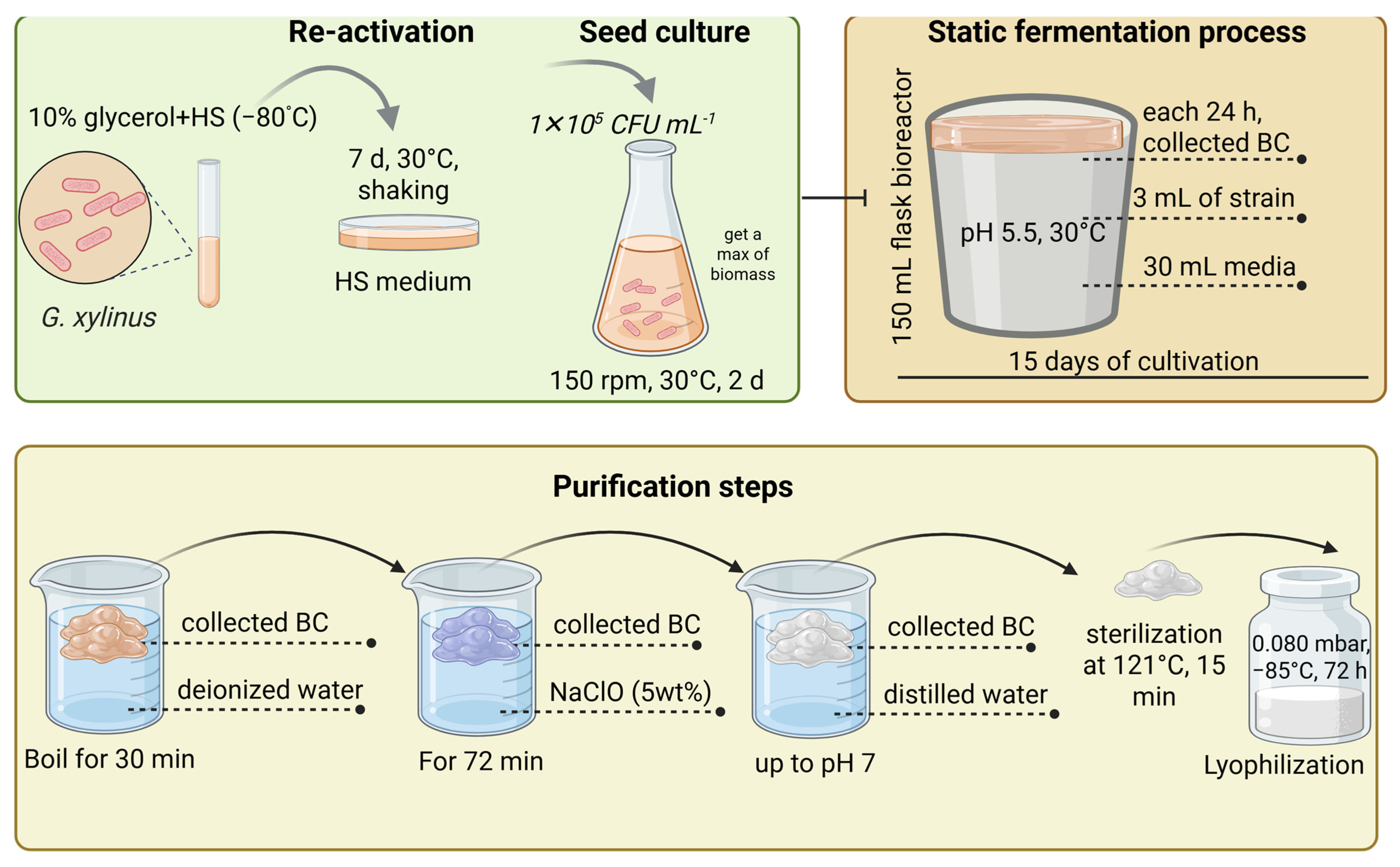 Polymers 17 03165 g003