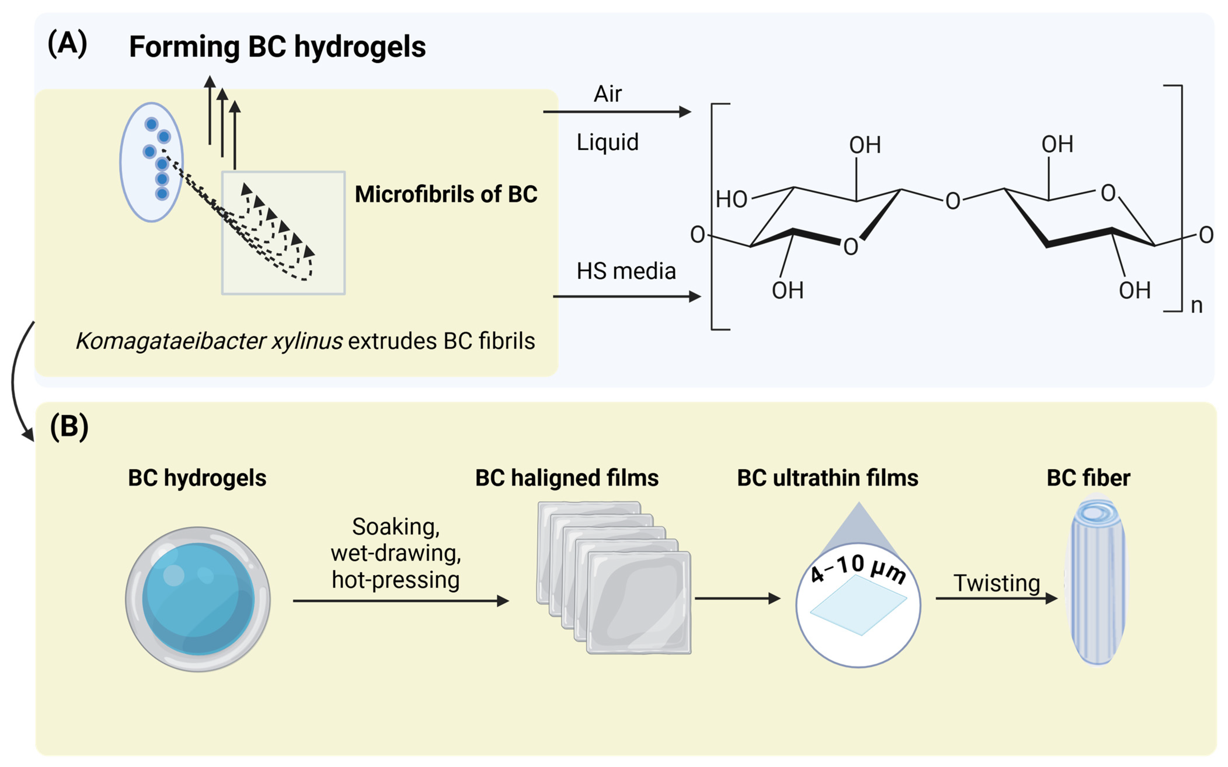 Polymers 17 03165 g004