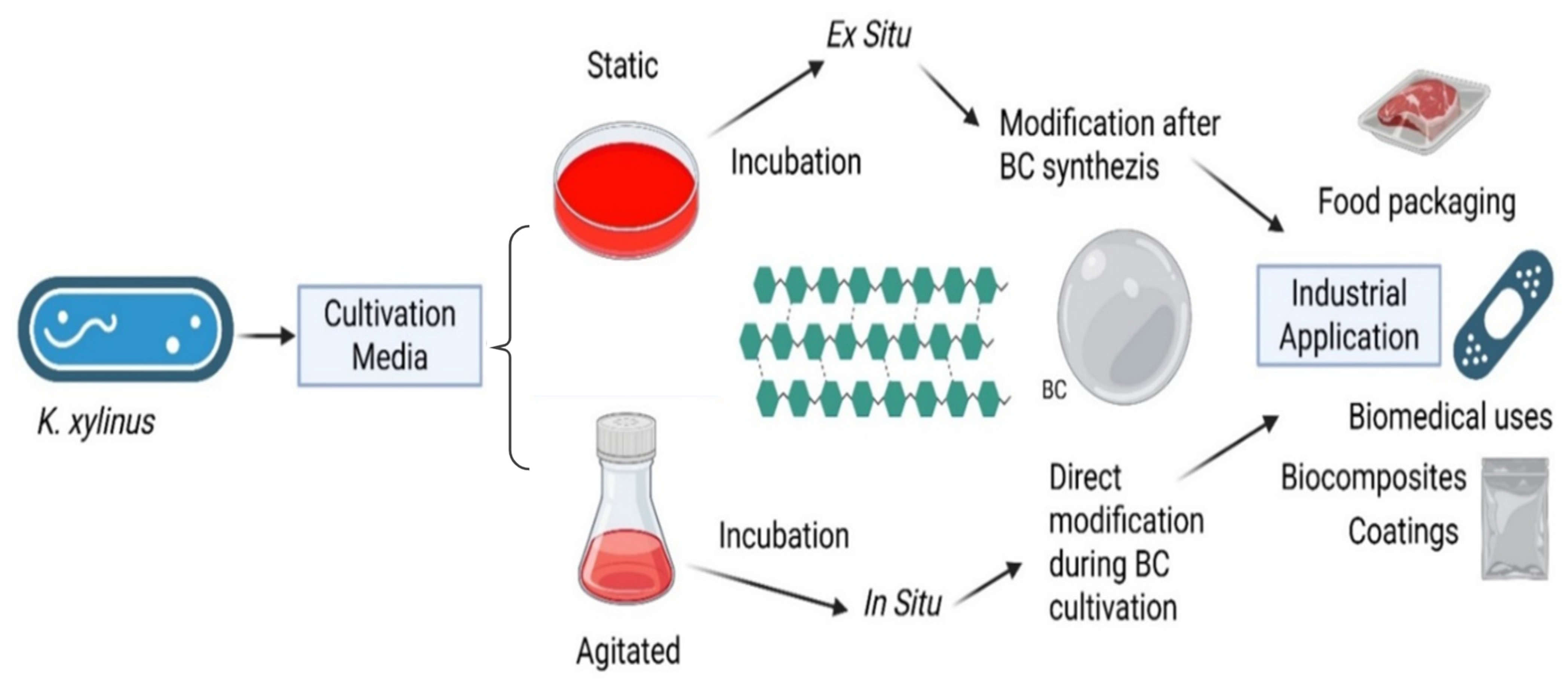 Polymers 17 03165 g005