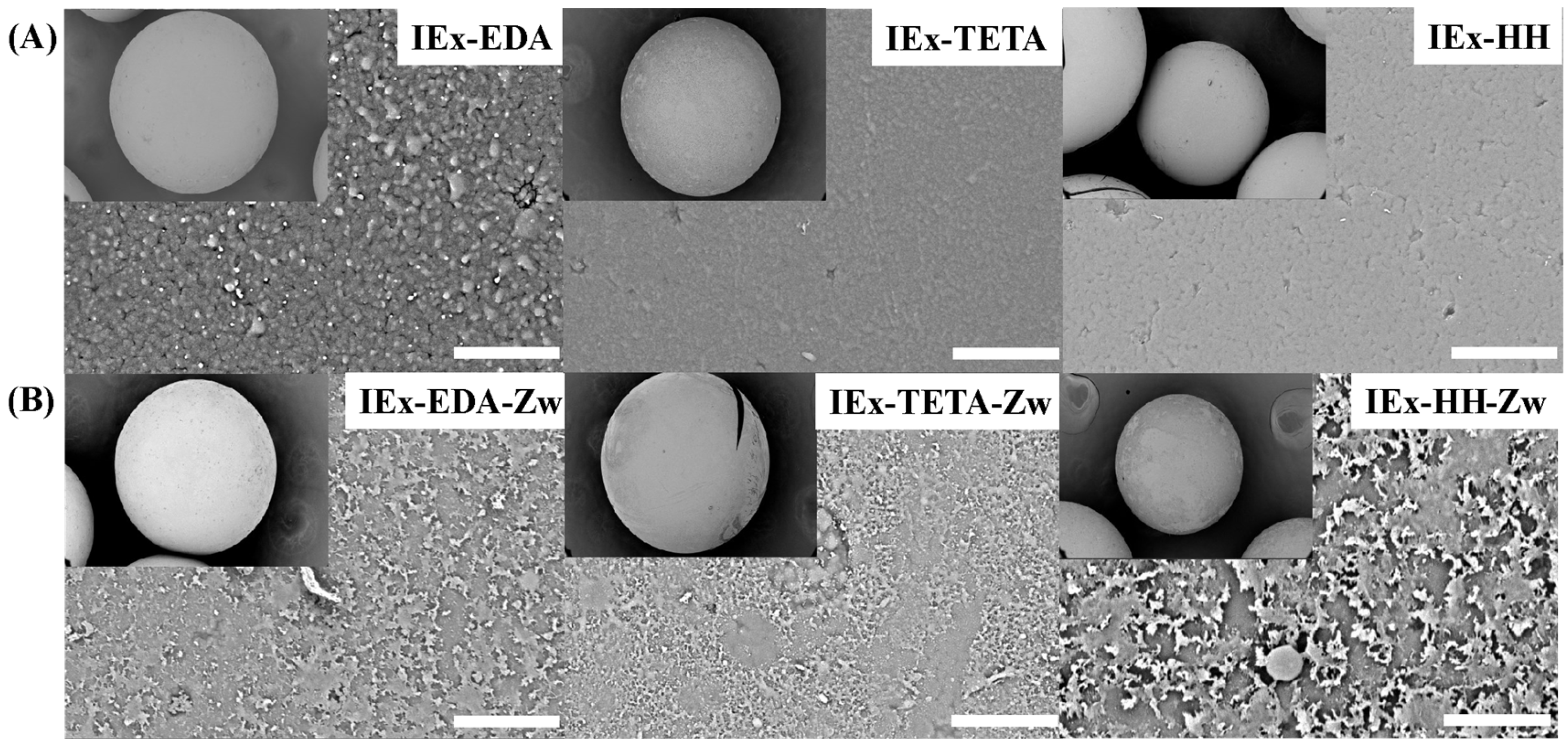 Polymers 17 03173 g002