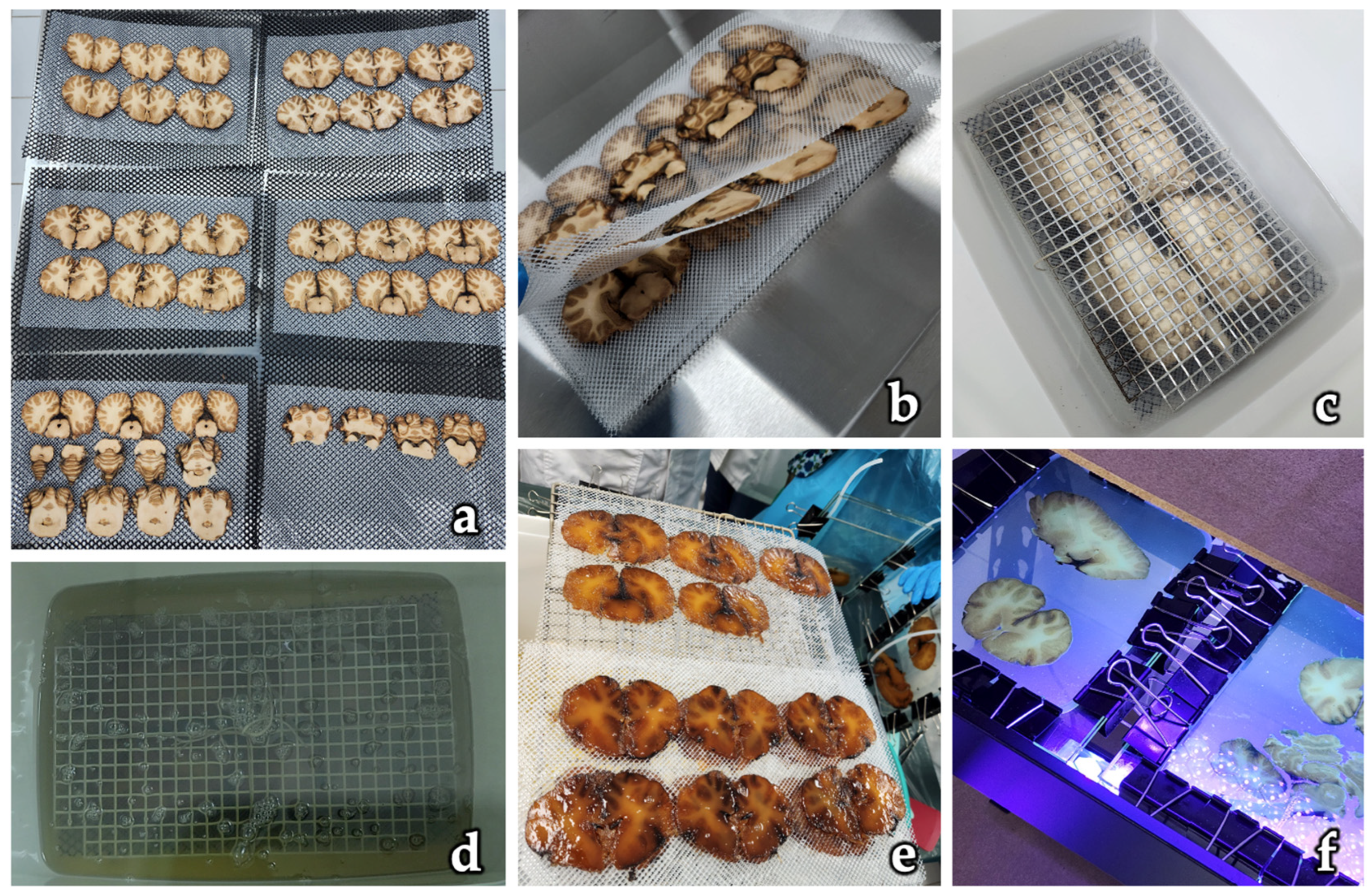 Polymers 17 03177 g002