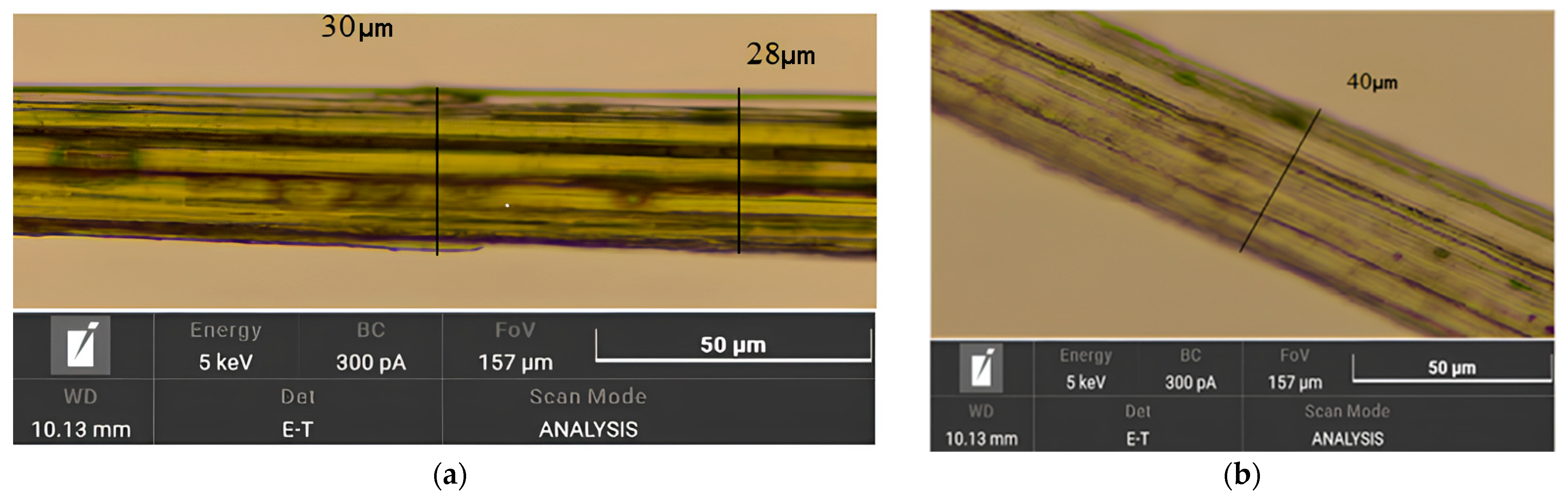 Polymers 17 03178 g011