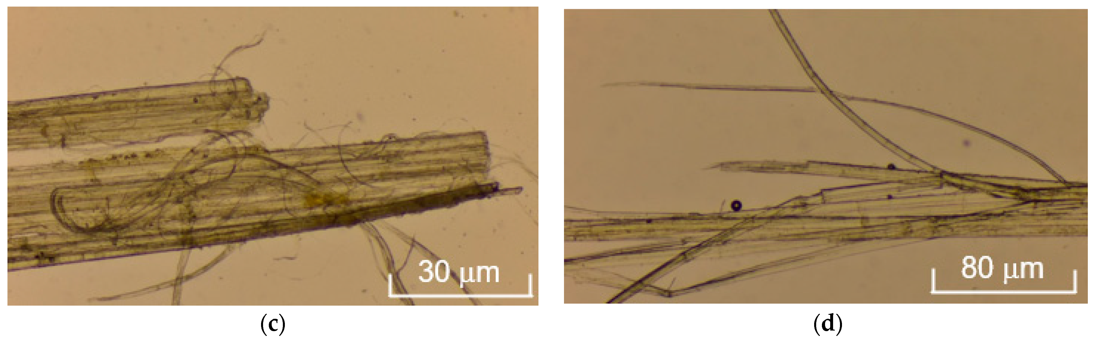 Polymers 17 03178 g013b