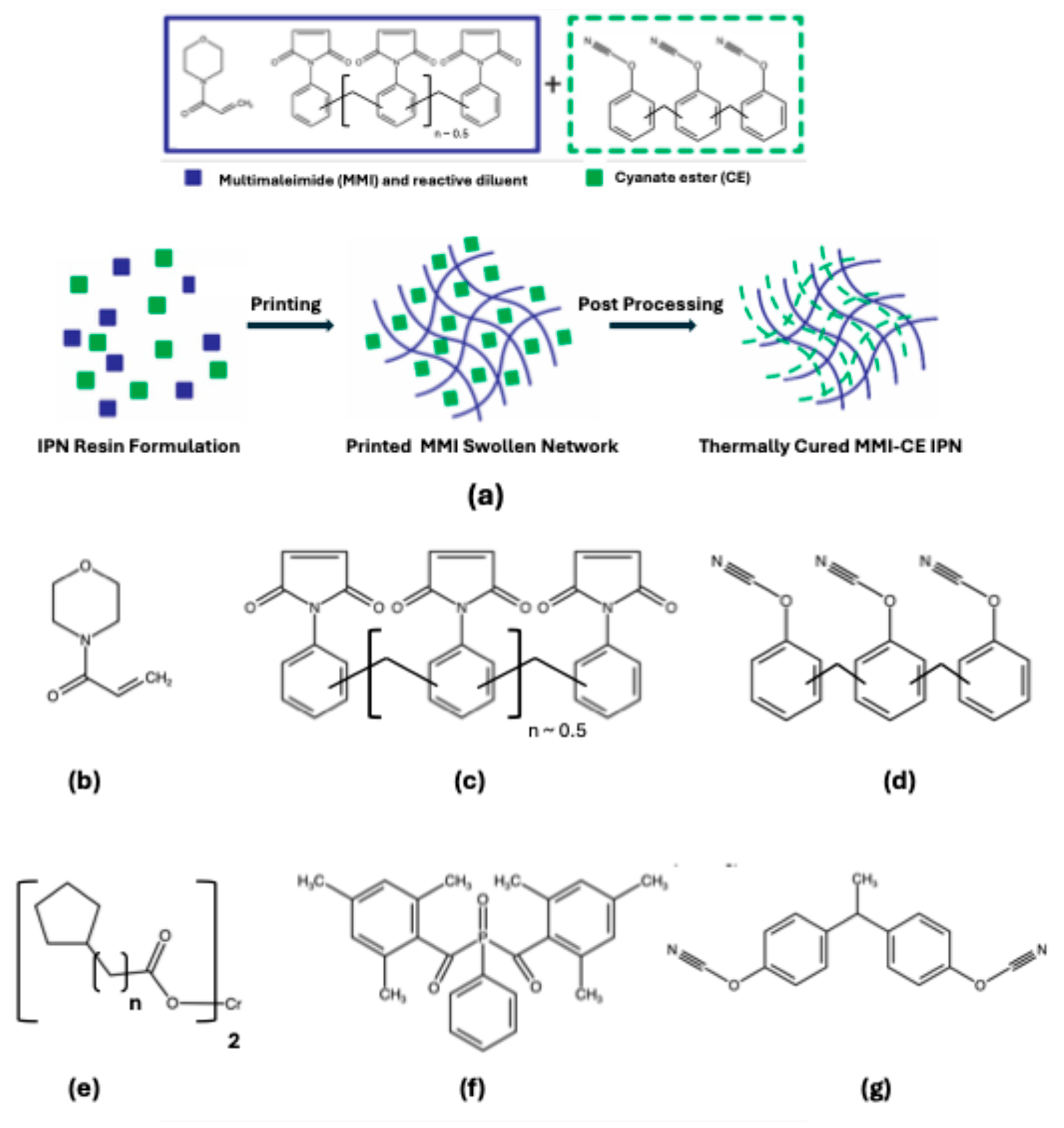 Polymers 17 03179 g001 Polymers 17 03179 g001