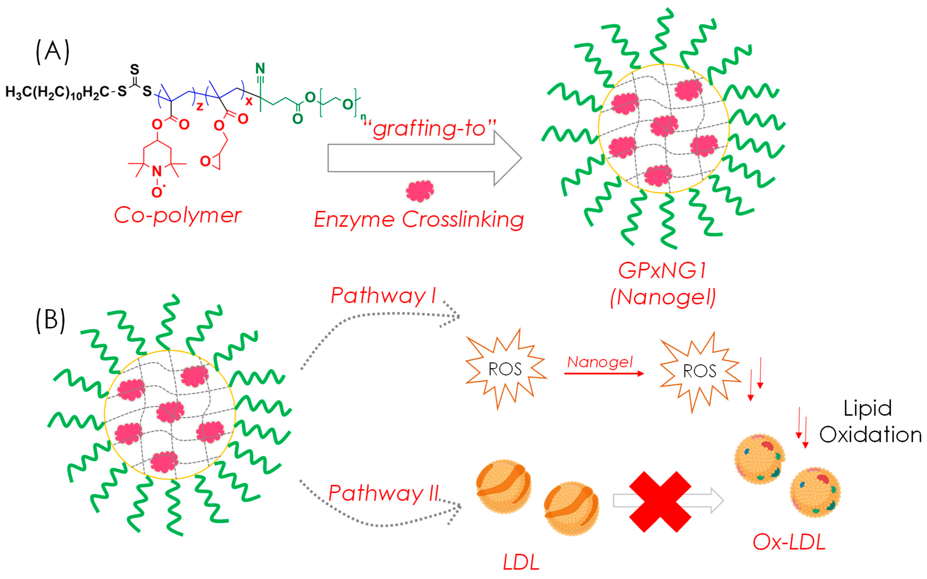 Polymers 17 03180 g001