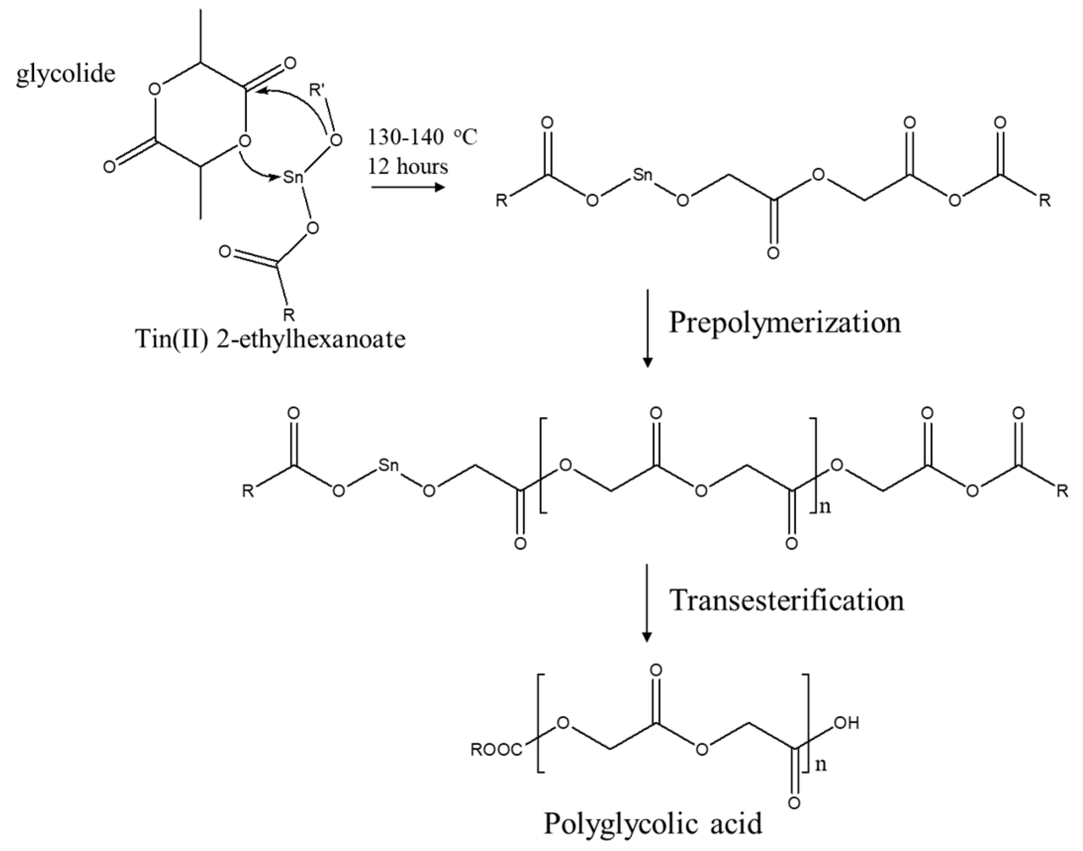Polymers 17 03181 g001 Polymers 17 03181 g001