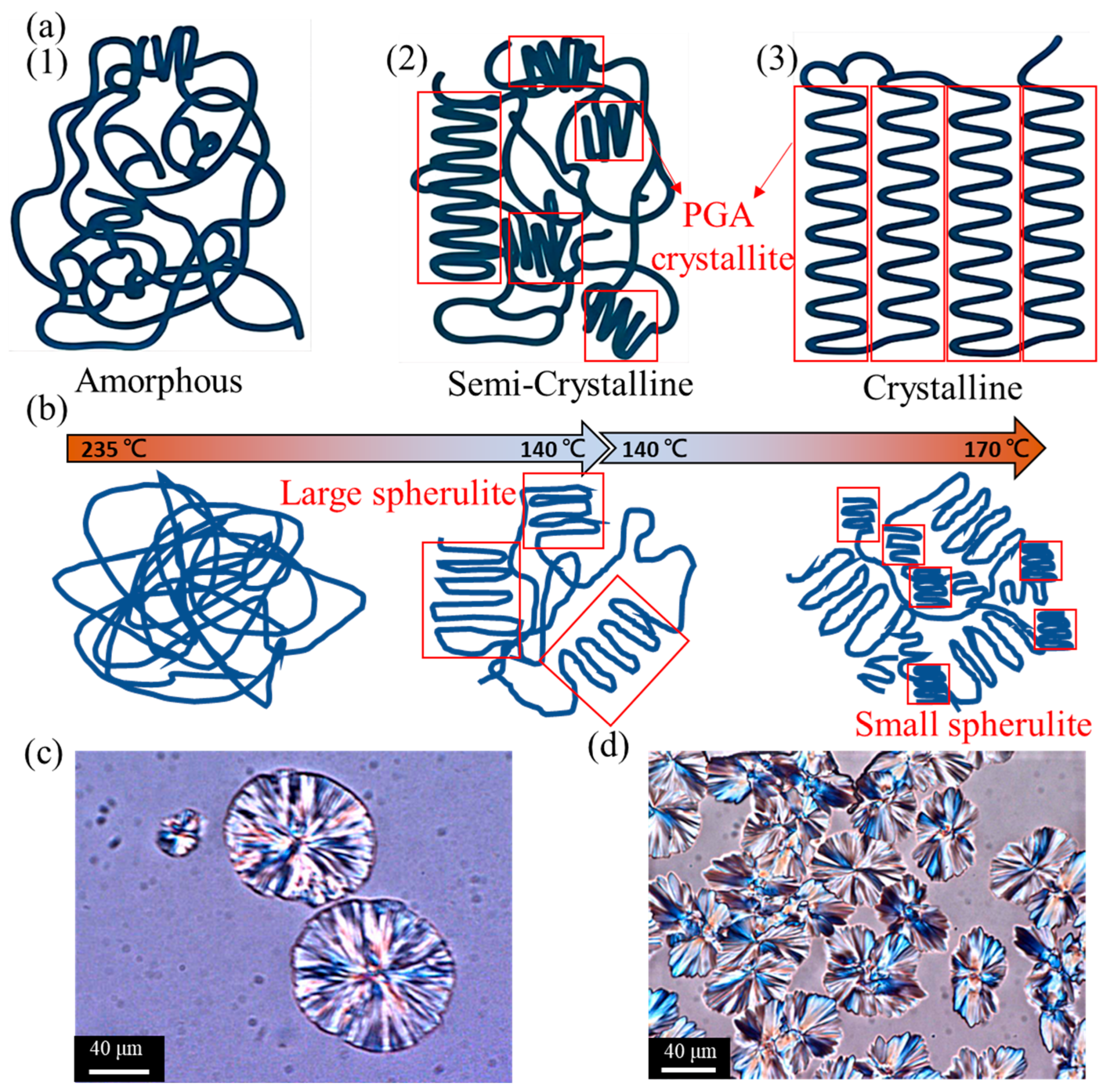 Polymers 17 03181 g005 Polymers 17 03181 g005