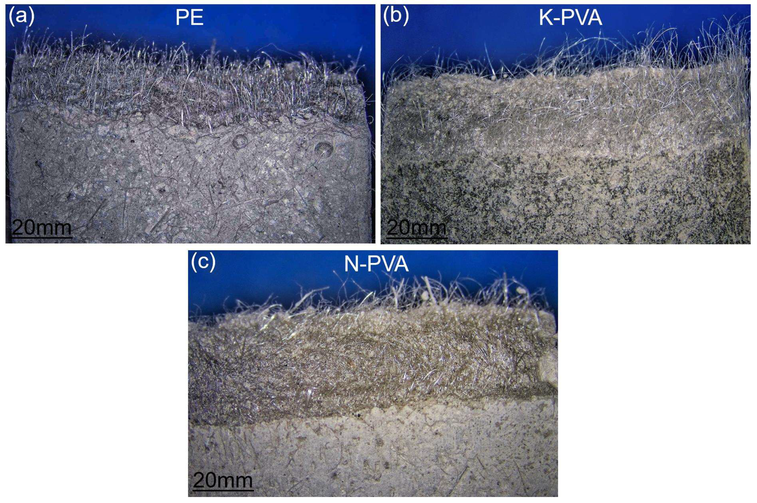 Polymers 17 03183 g011 Polymers 17 03183 g011