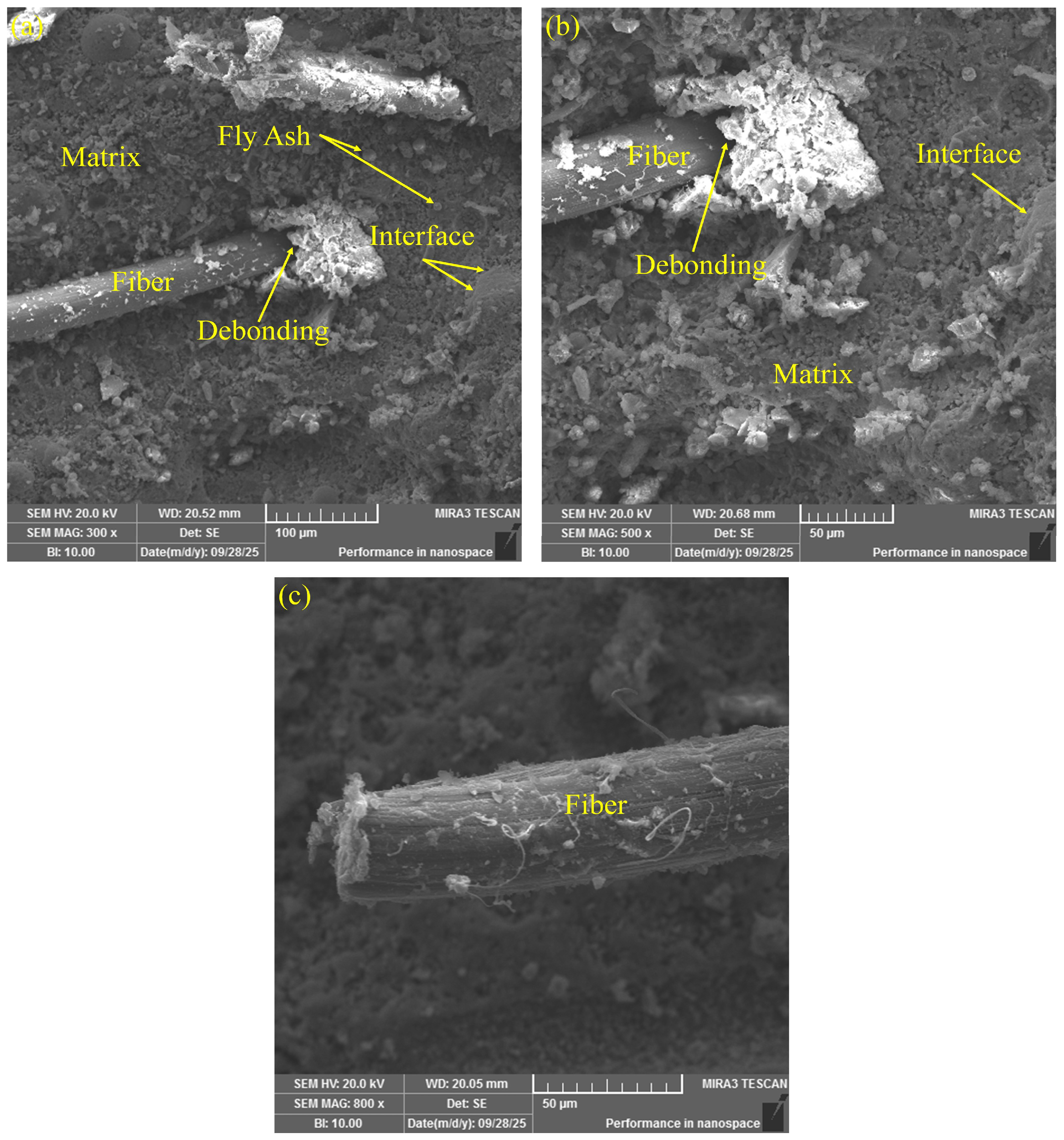Polymers 17 03183 g013 Polymers 17 03183 g013