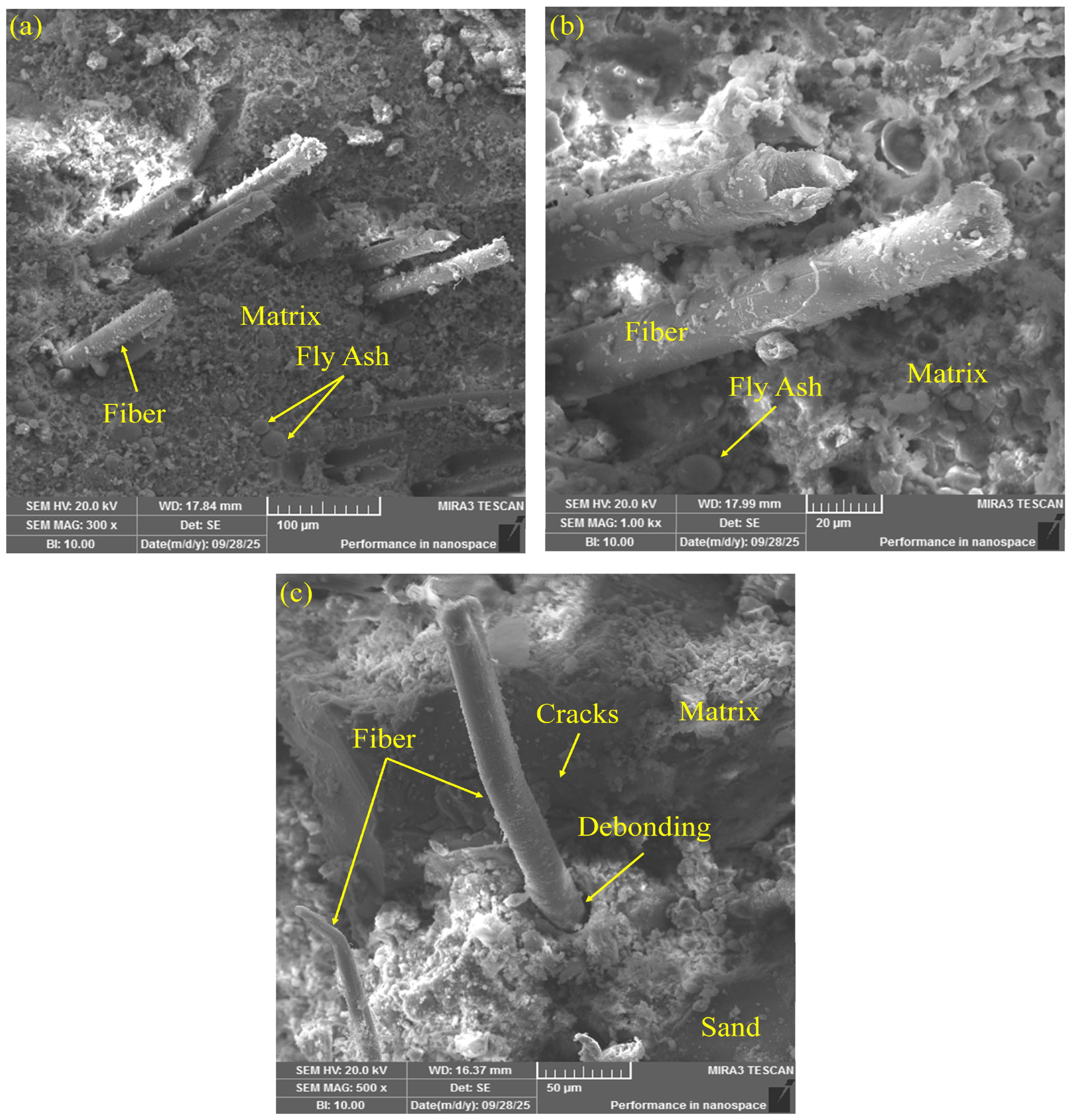 Polymers 17 03183 g014 Polymers 17 03183 g014