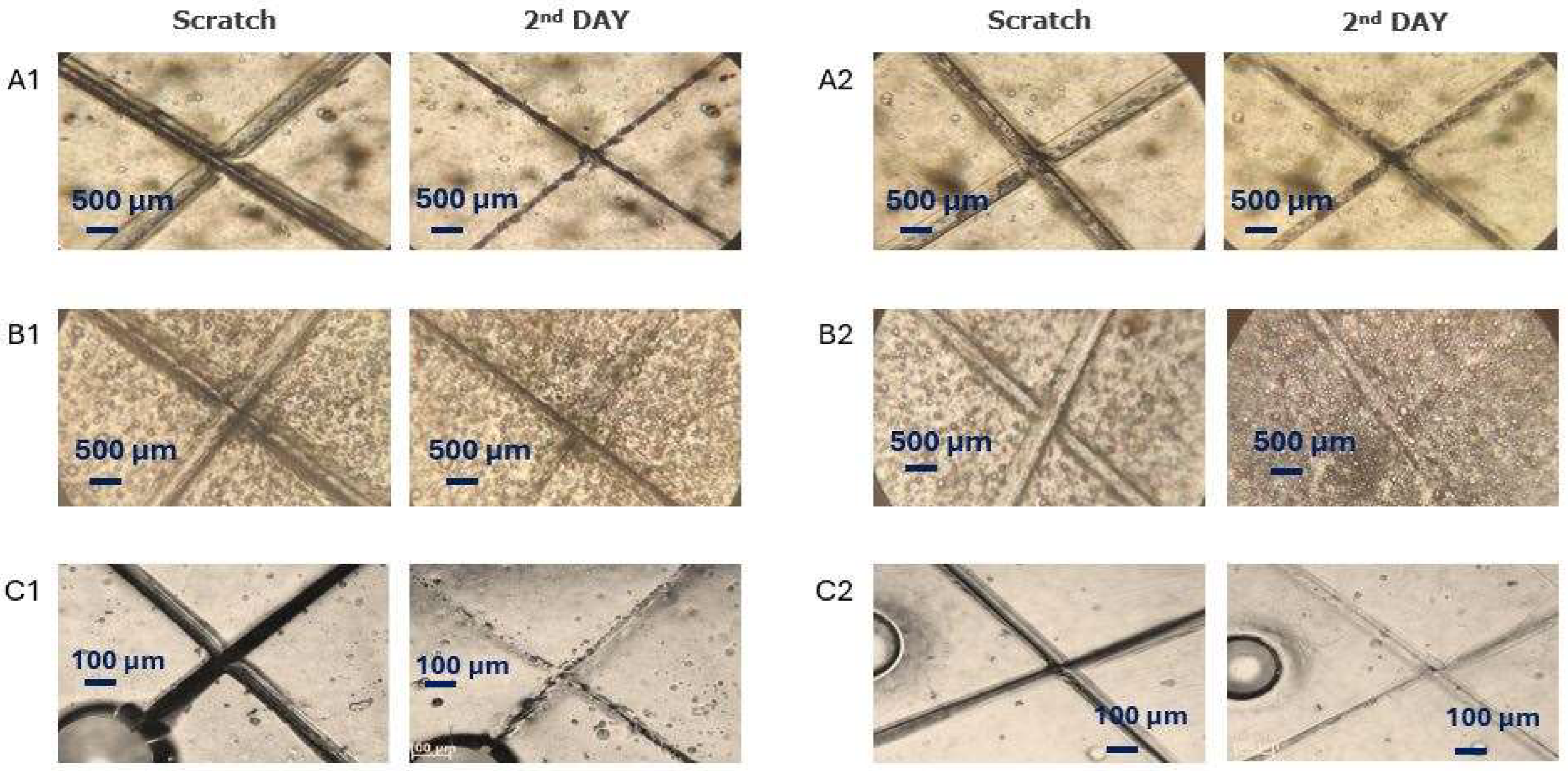 Polymers 17 03184 g008