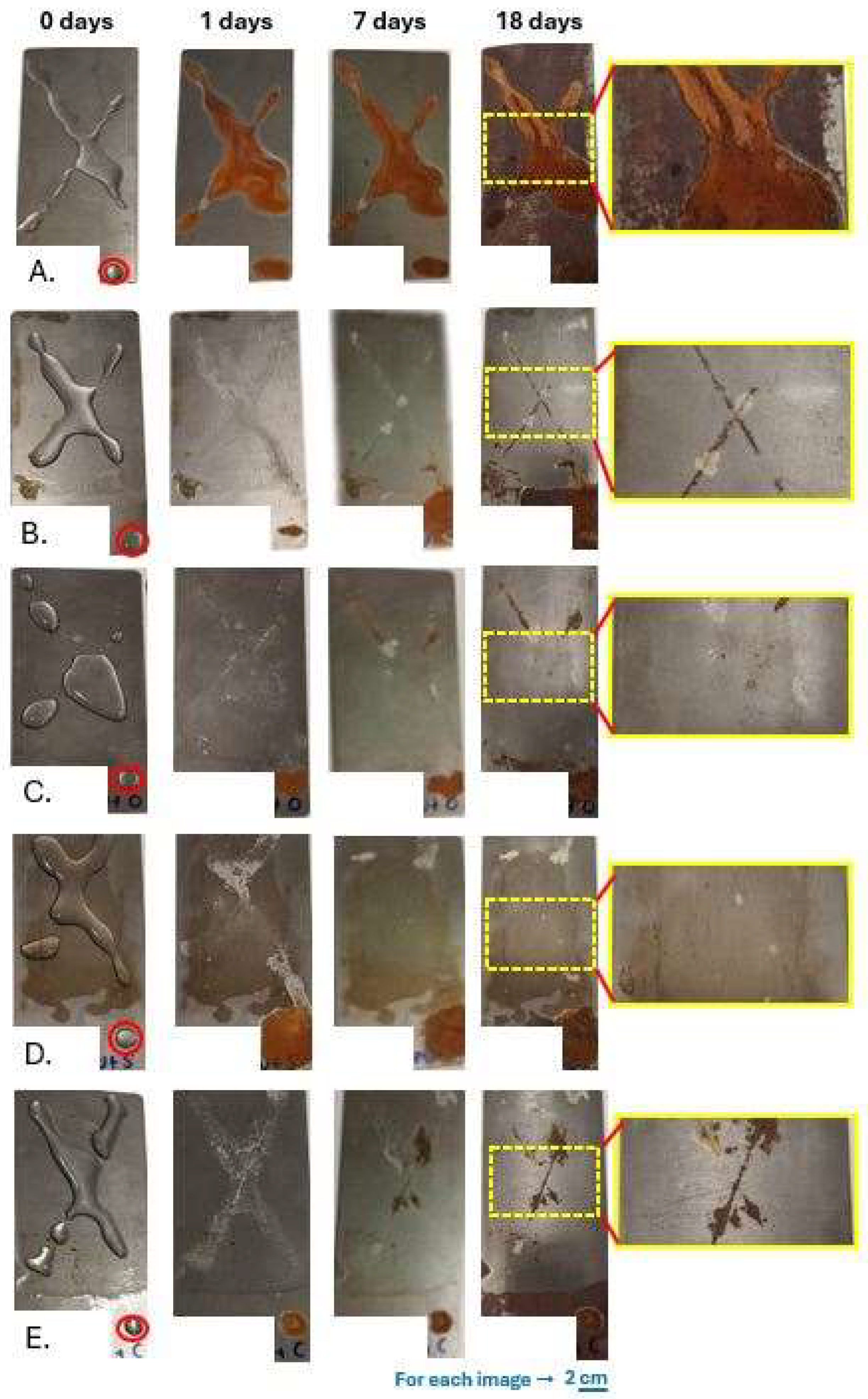 Polymers 17 03184 g009