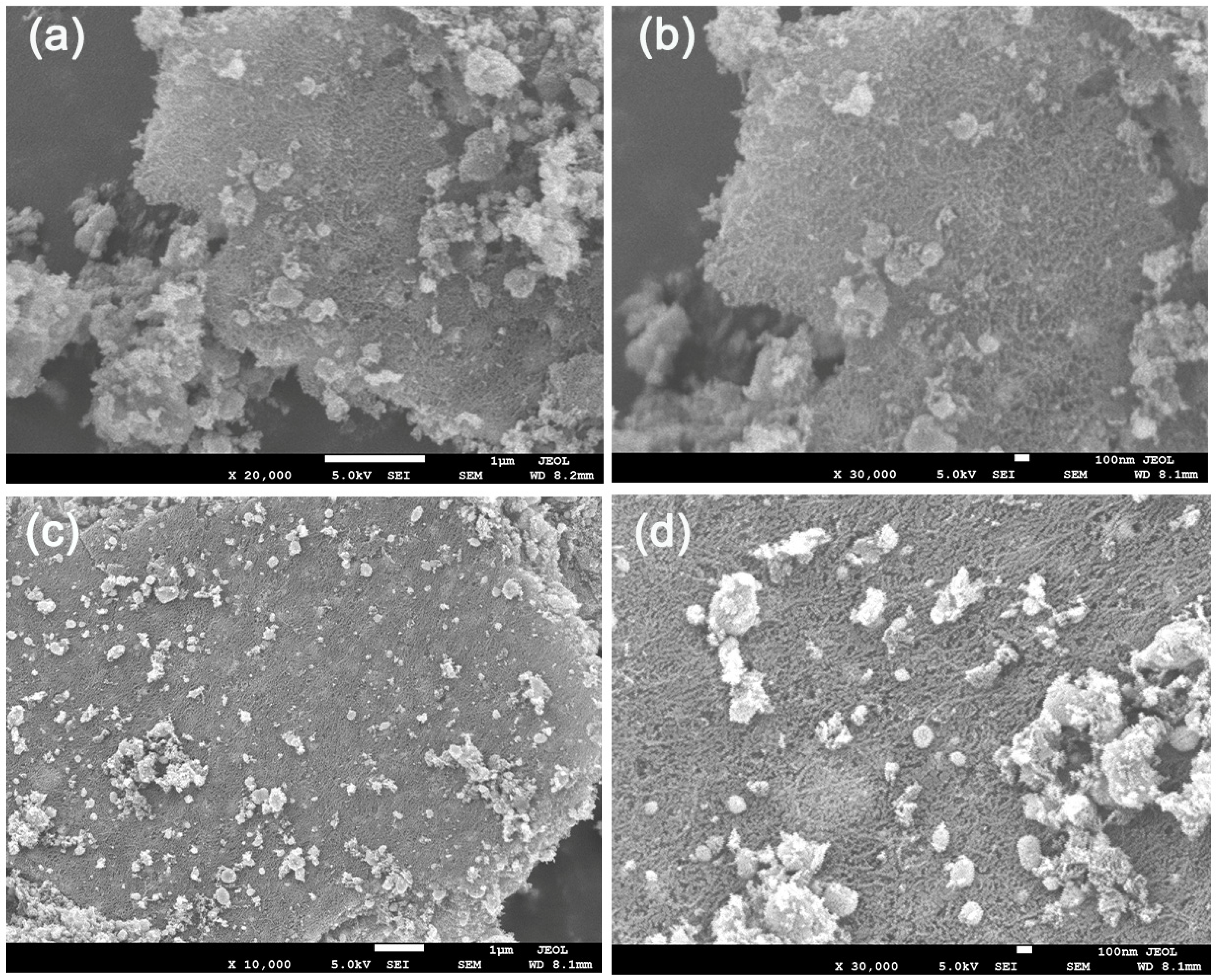 Polymers 17 03186 g003