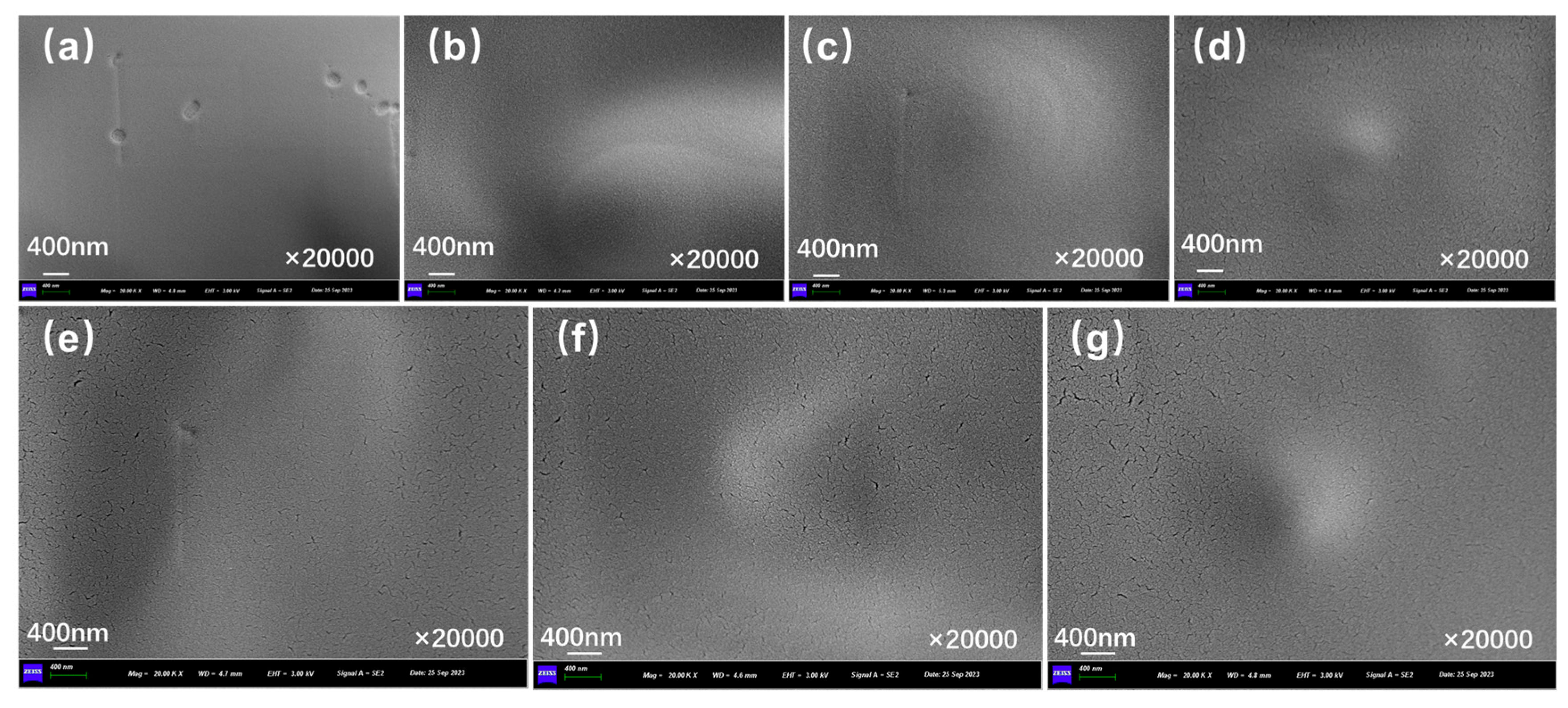 Polymers 17 03187 g010