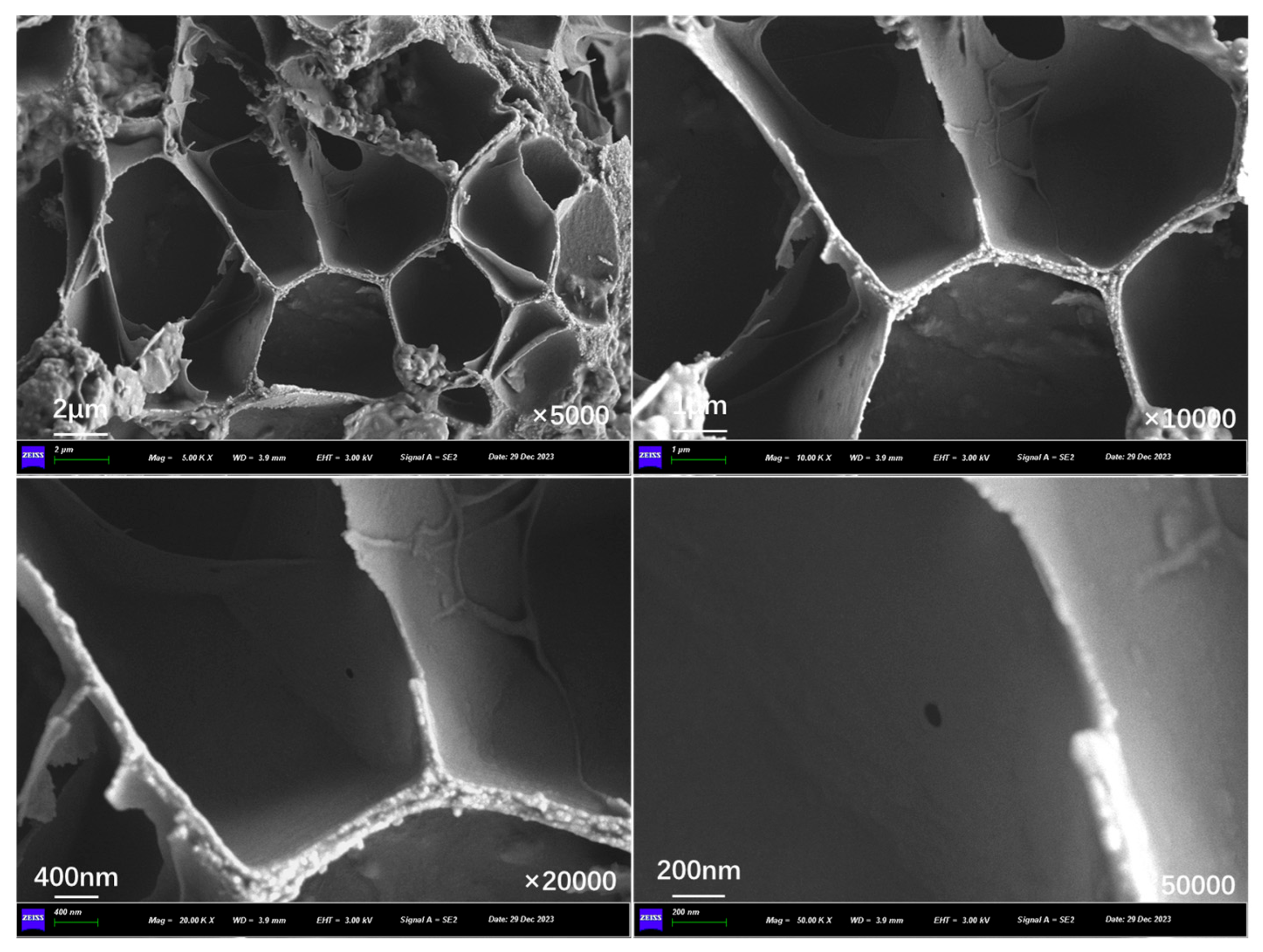 Polymers 17 03187 g012