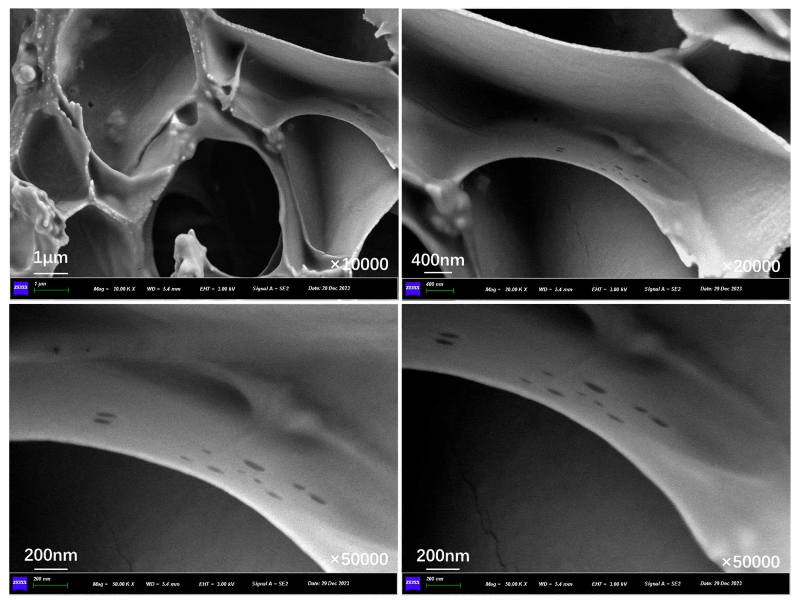 Polymers 17 03187 g013