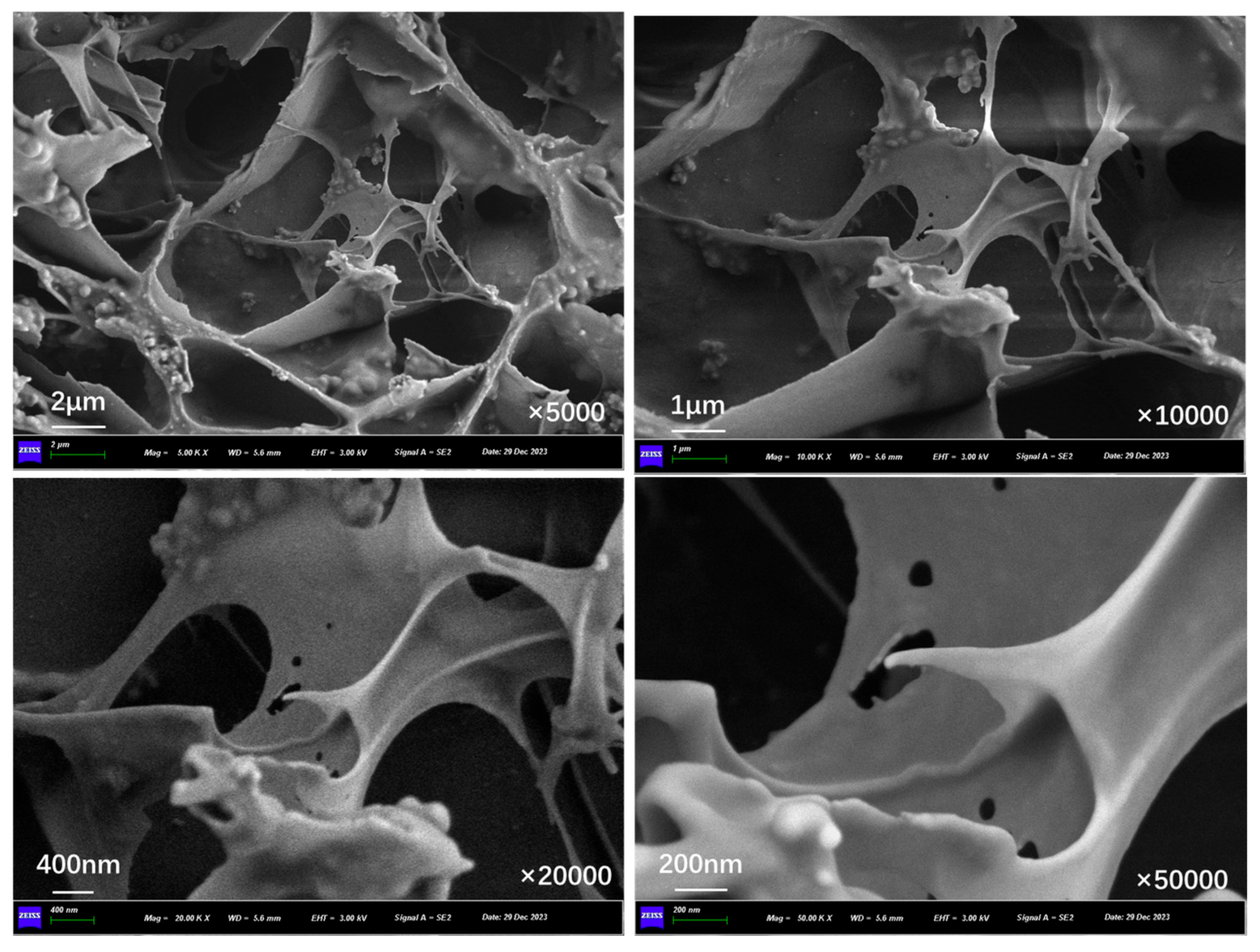 Polymers 17 03187 g014