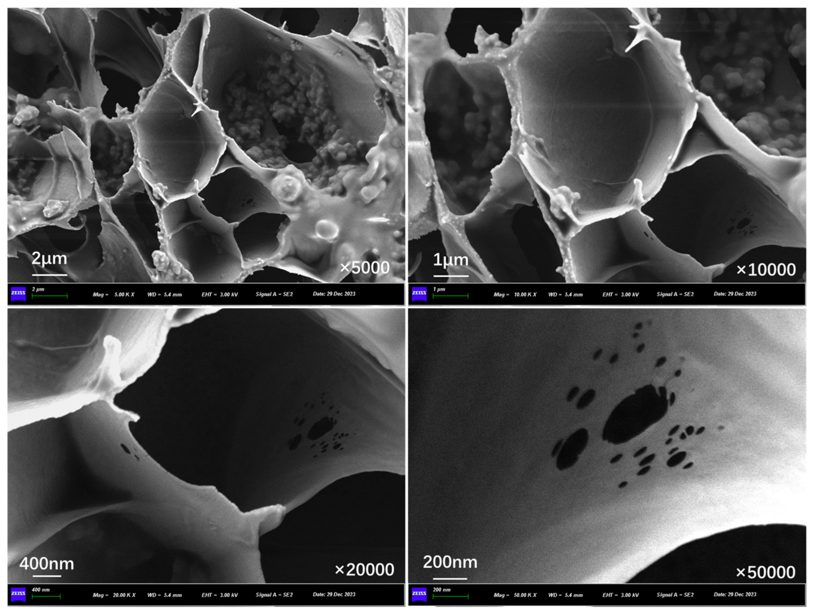 Polymers 17 03187 g015