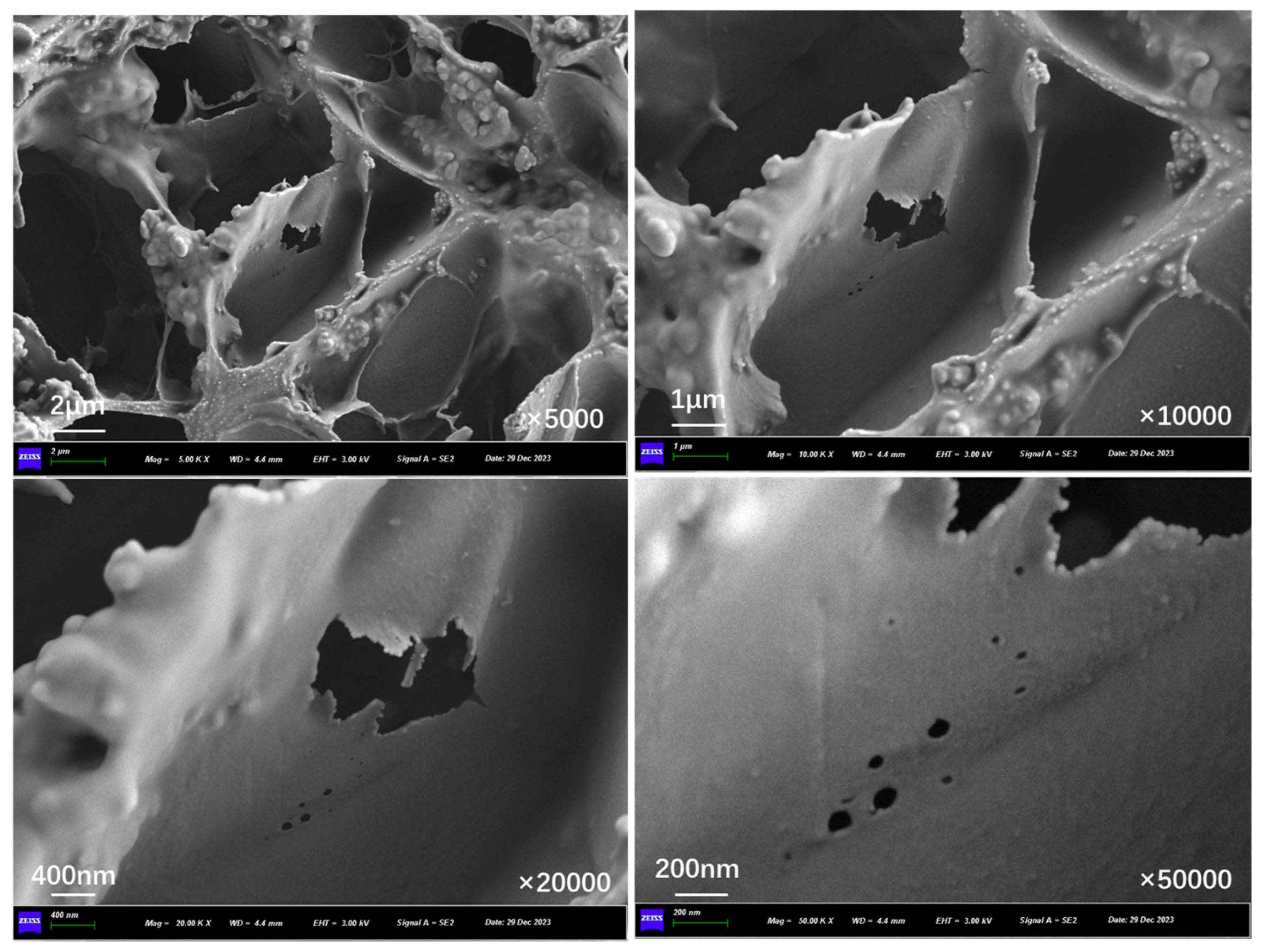 Polymers 17 03187 g016