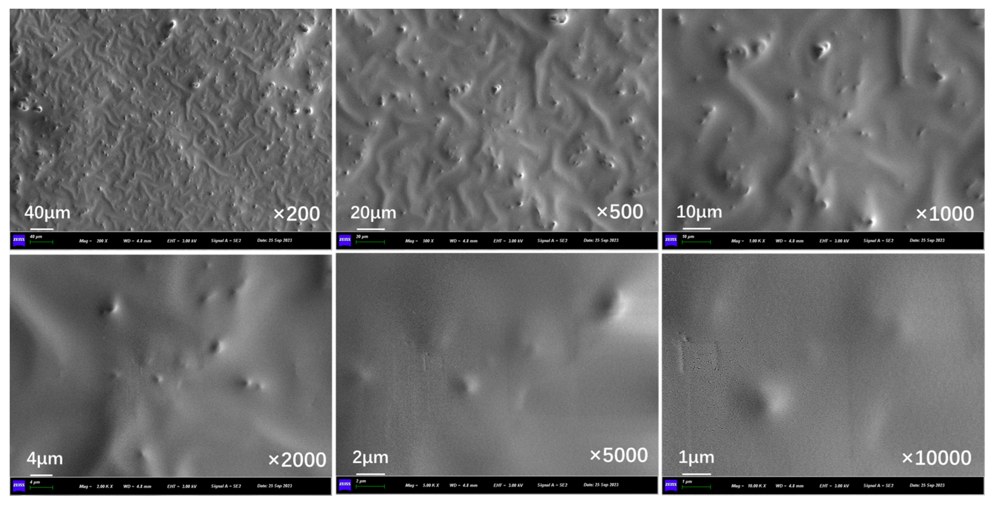 Polymers 17 03187 g018