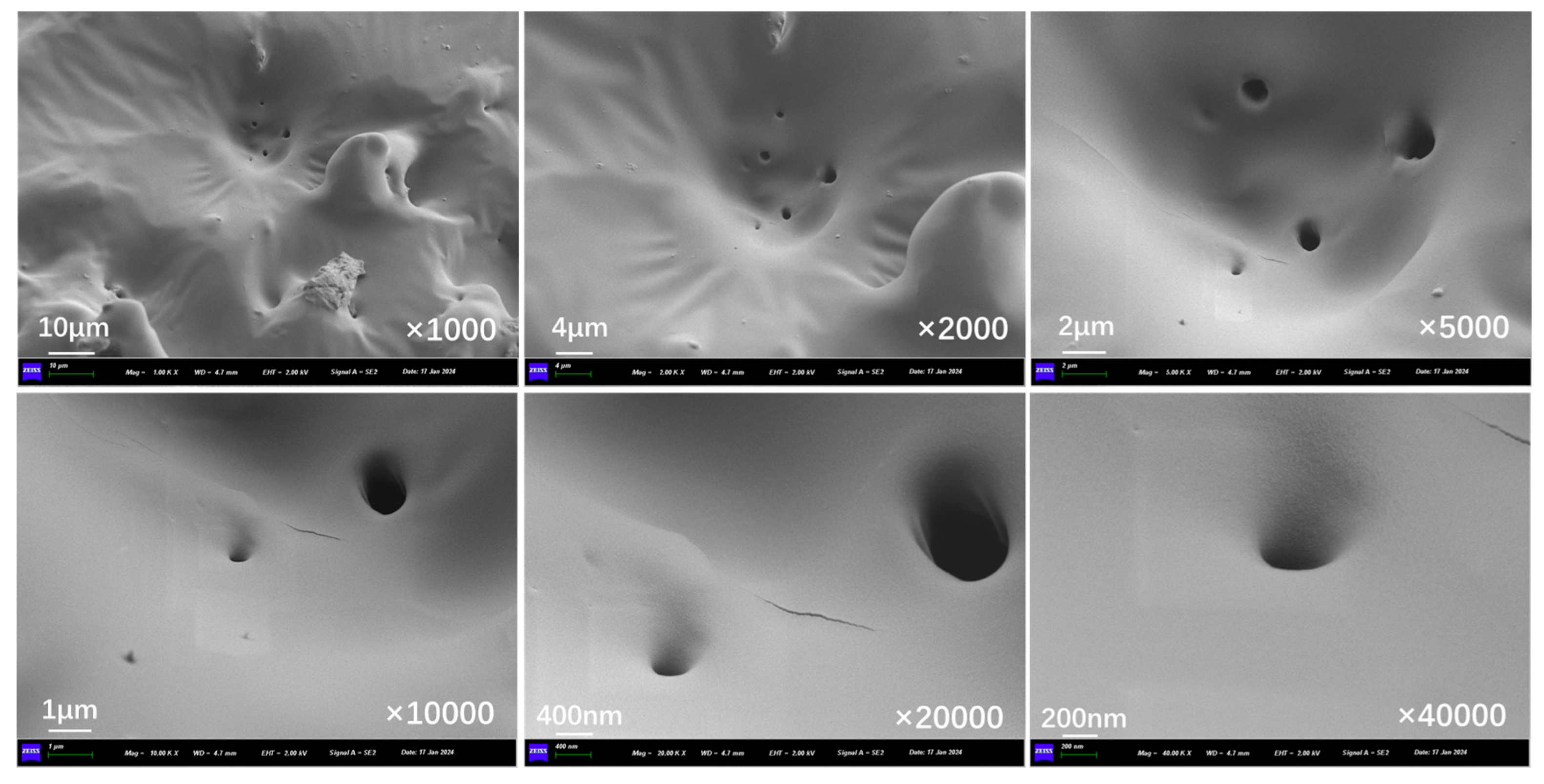 Polymers 17 03187 g019