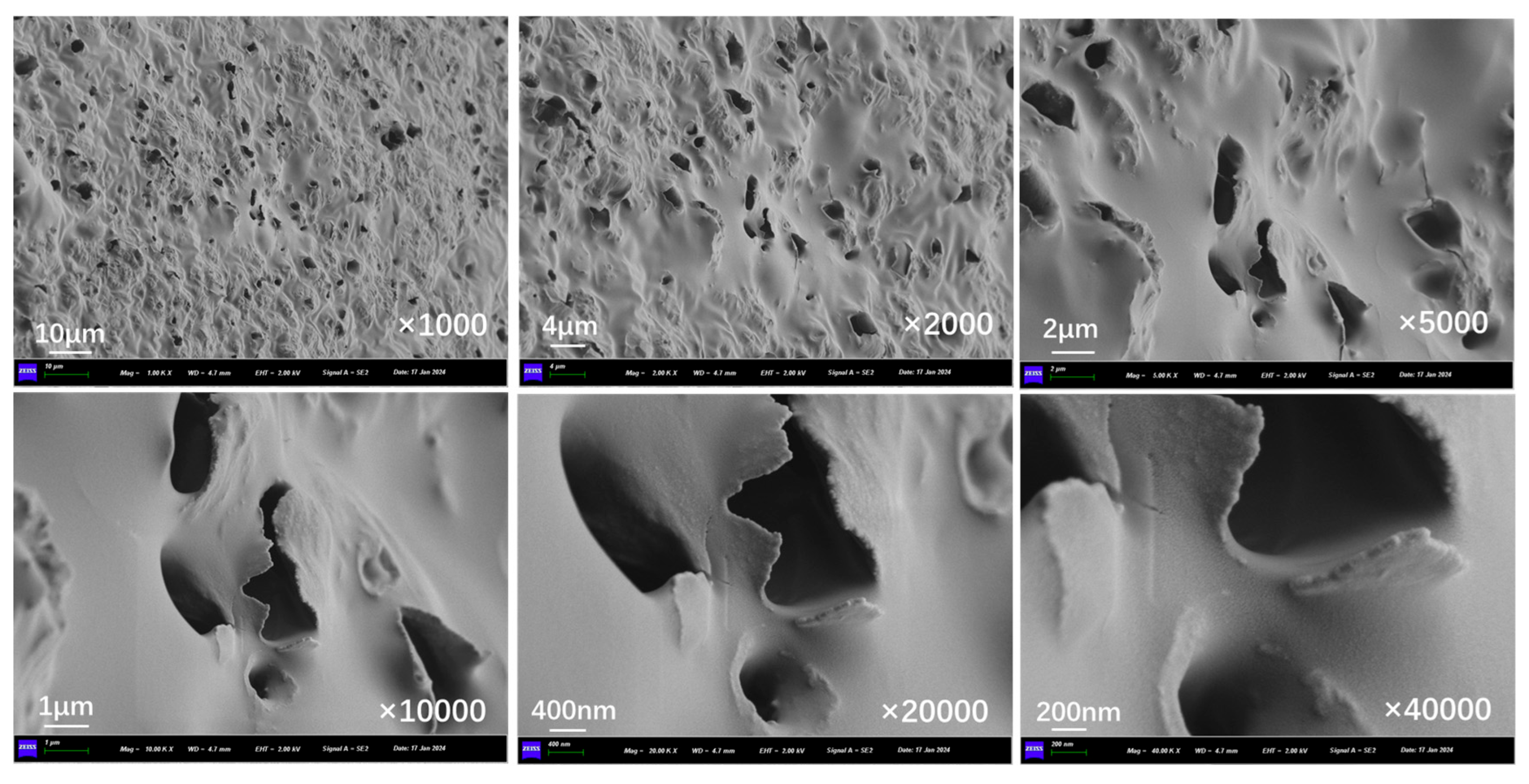 Polymers 17 03187 g020