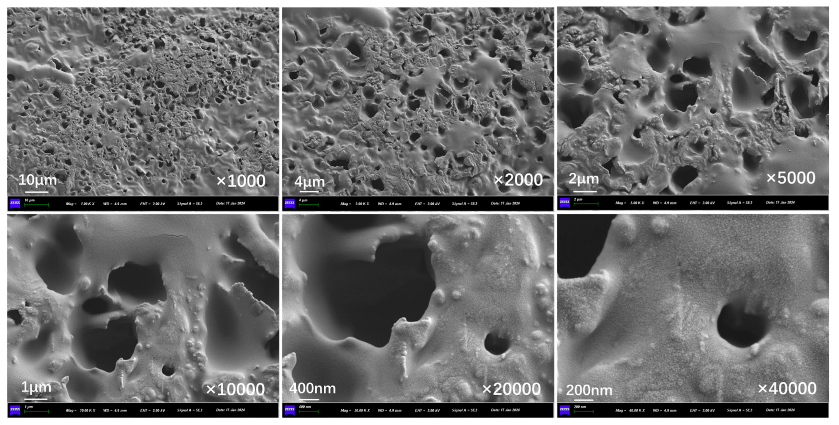 Polymers 17 03187 g021
